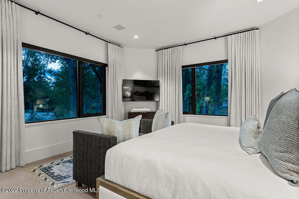 709 W Hallam Street Aspen CO 81611