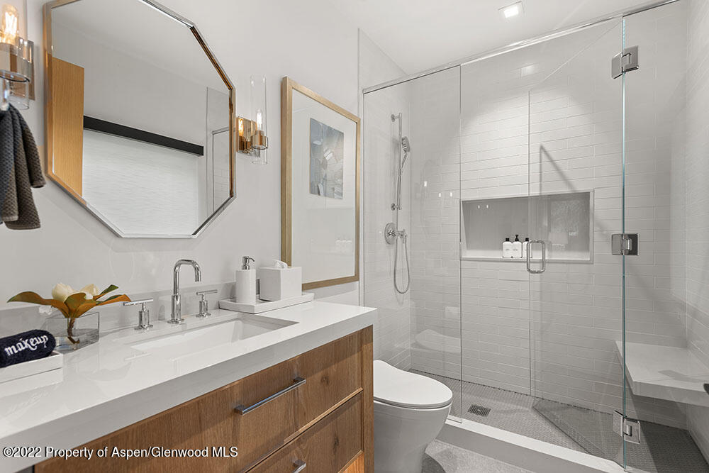 709 W Hallam Street Aspen CO 81611
