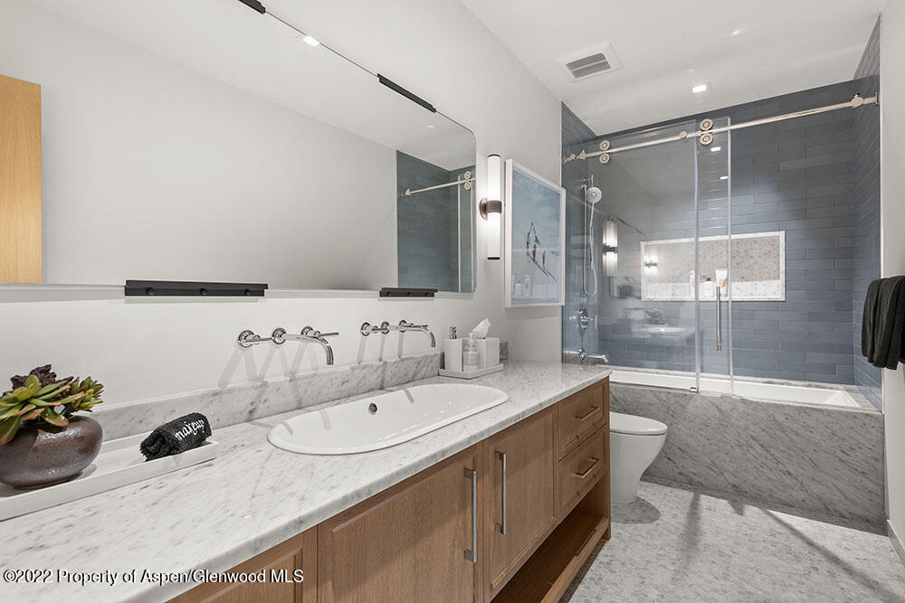 709 W Hallam Street Aspen CO 81611