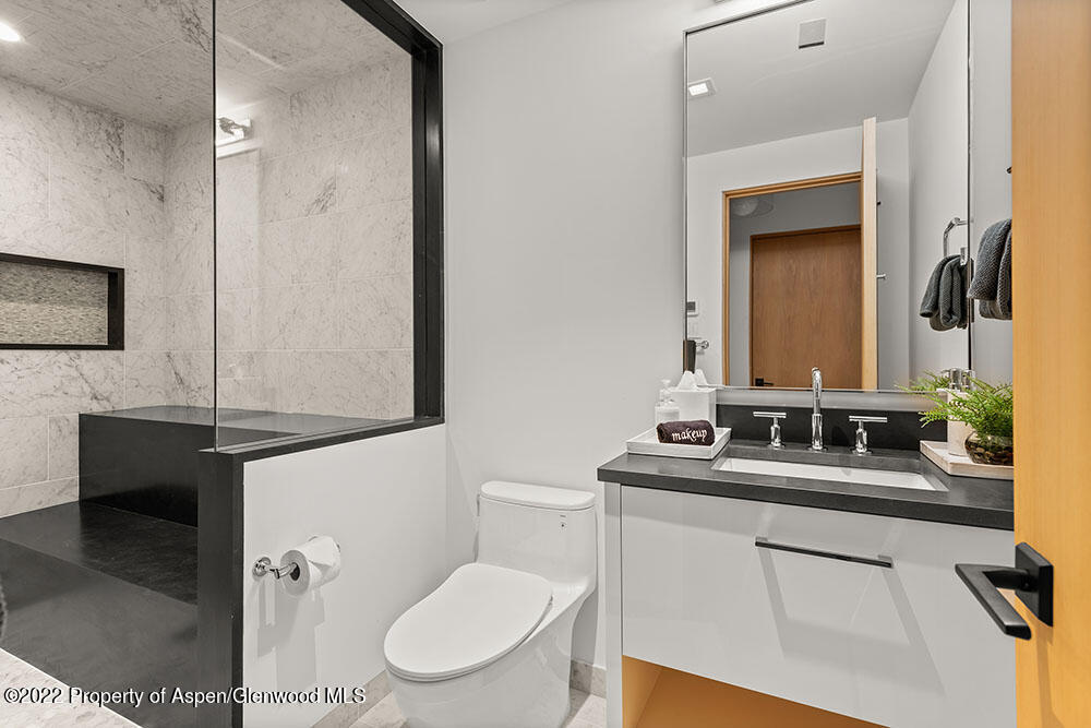 709 W Hallam Street Aspen CO 81611