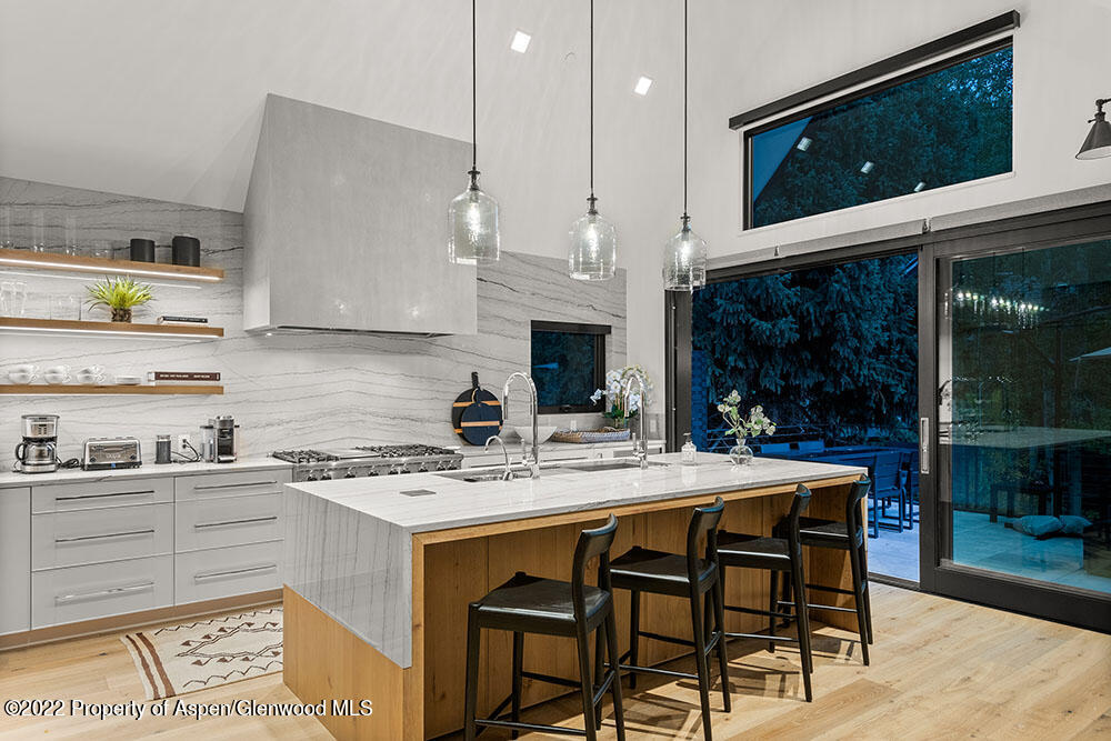 709 W Hallam Street Aspen CO 81611