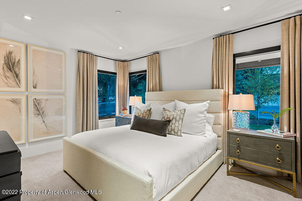 709 W Hallam Street Aspen CO 81611