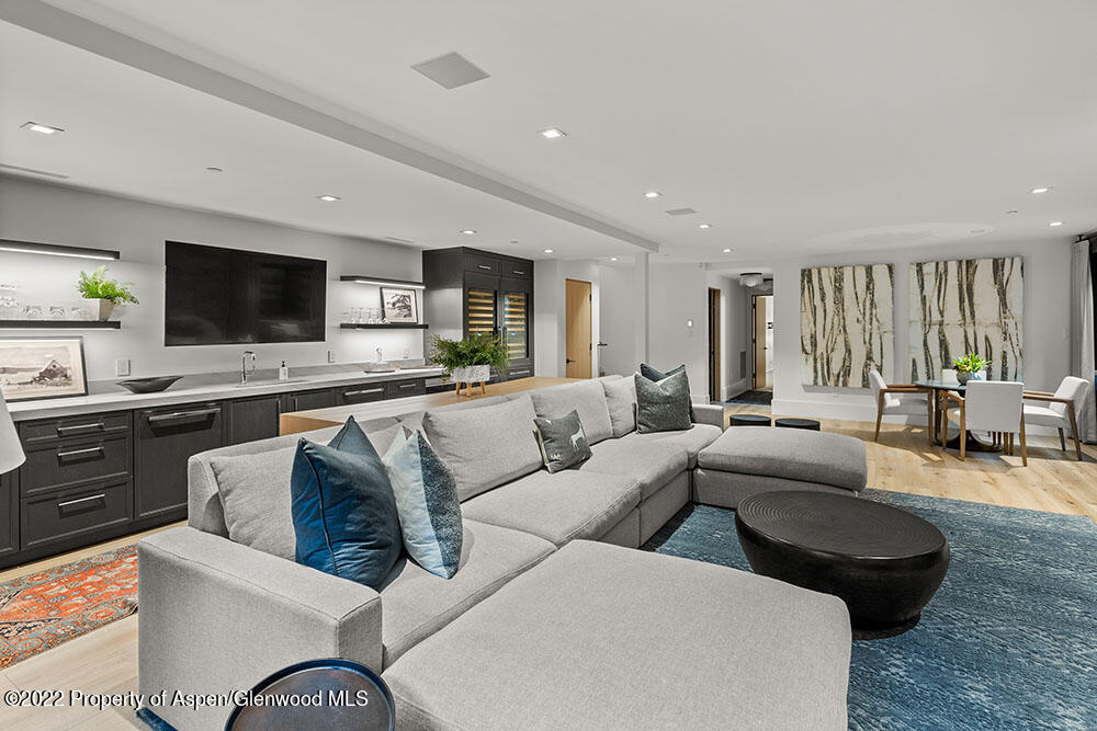 709 W Hallam Street Aspen CO 81611