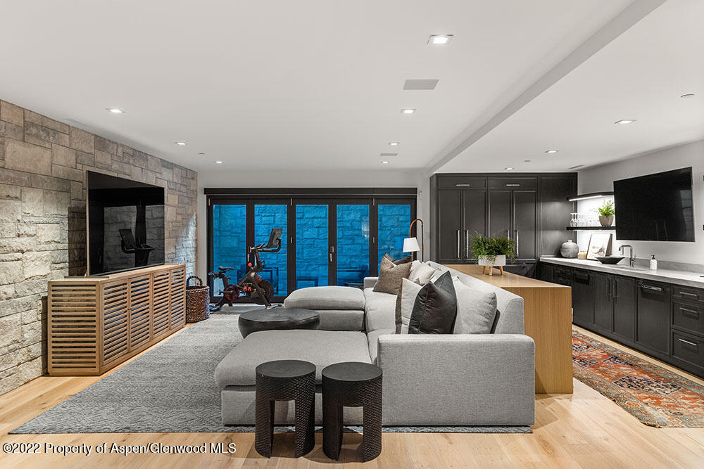 709 W Hallam Street Aspen CO 81611