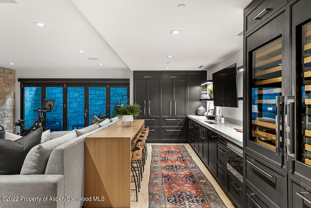 709 W Hallam Street Aspen CO 81611