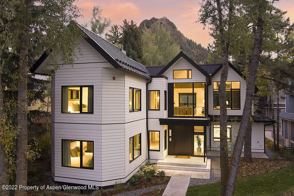 709 W Hallam Street Aspen CO 81611