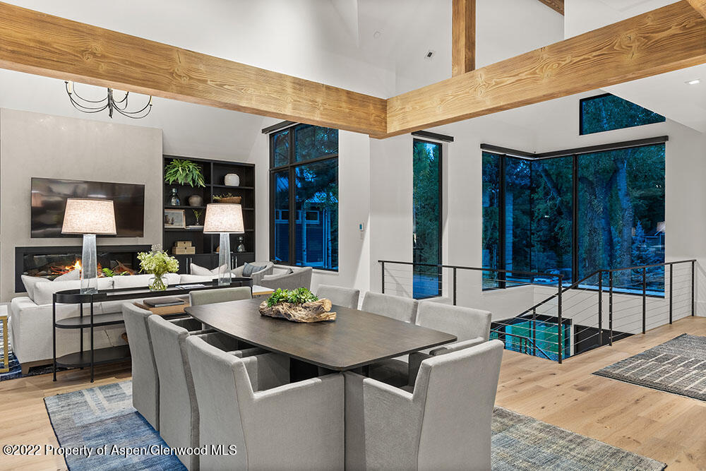 709 W Hallam Street Aspen CO 81611