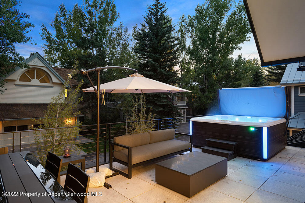 709 W Hallam Street Aspen CO 81611