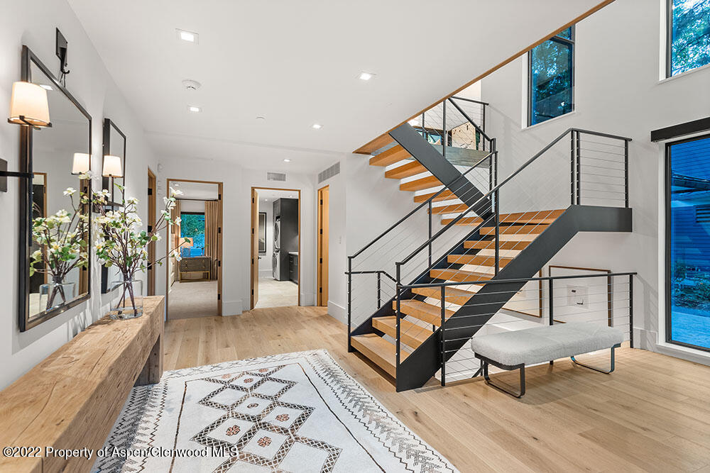 709 W Hallam Street Aspen CO 81611