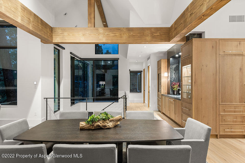 709 W Hallam Street Aspen CO 81611