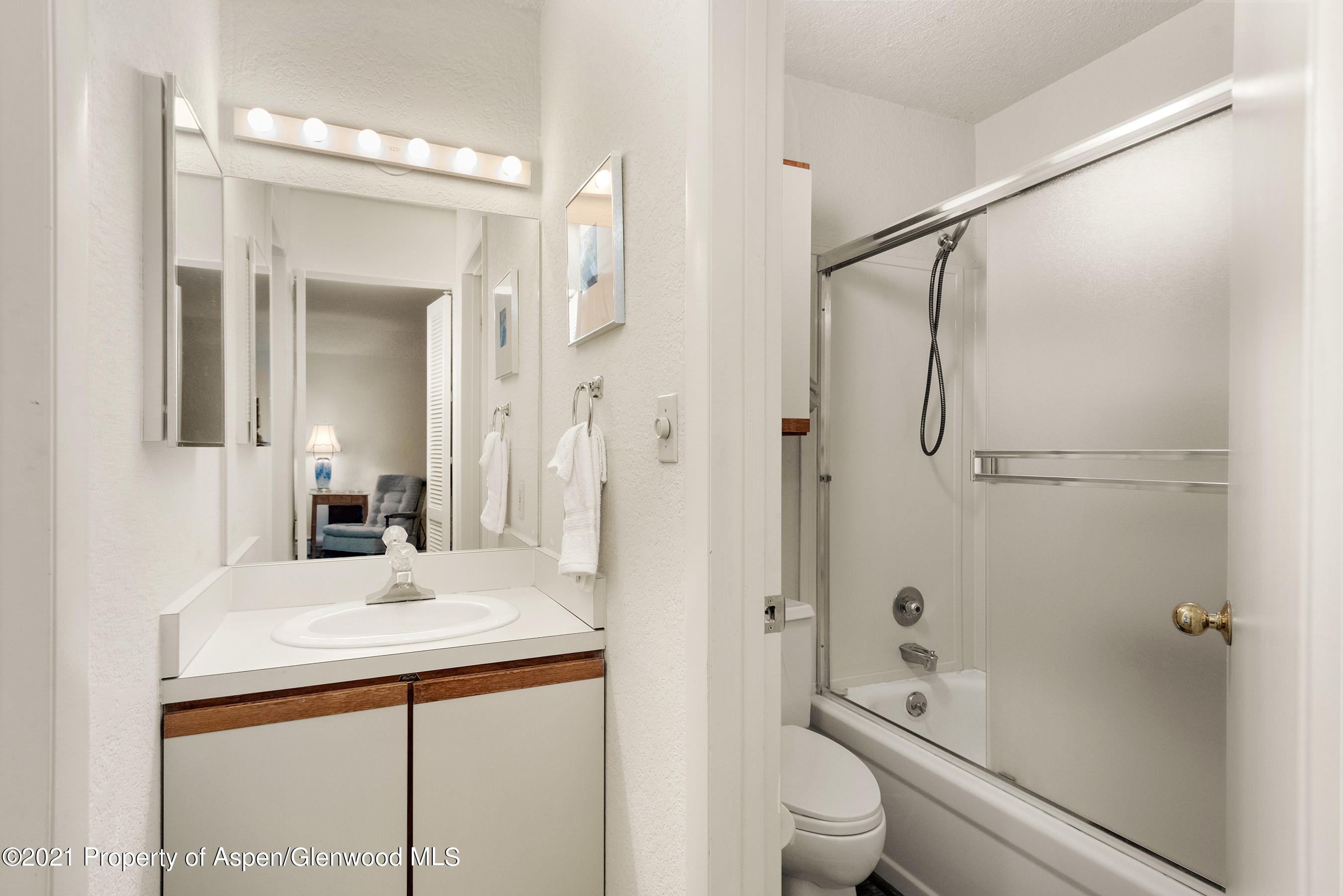 1315 Vine Street Aspen CO 81611