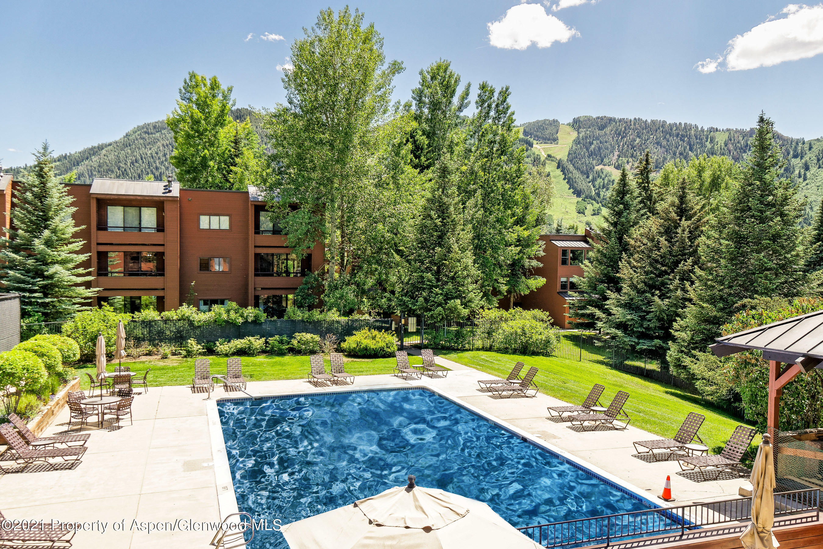 1315 Vine Street Aspen CO 81611