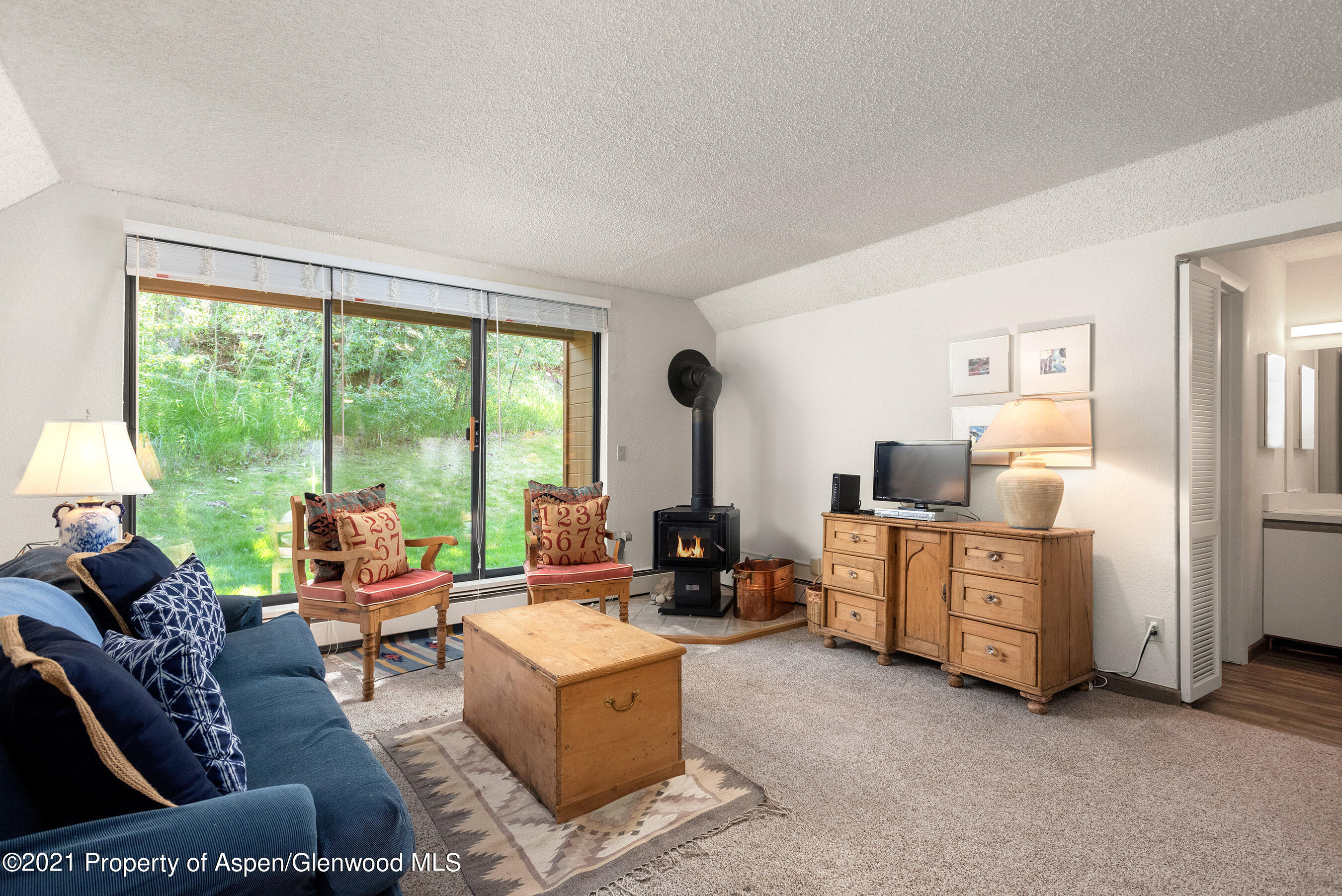 1315 Vine Street Aspen CO 81611