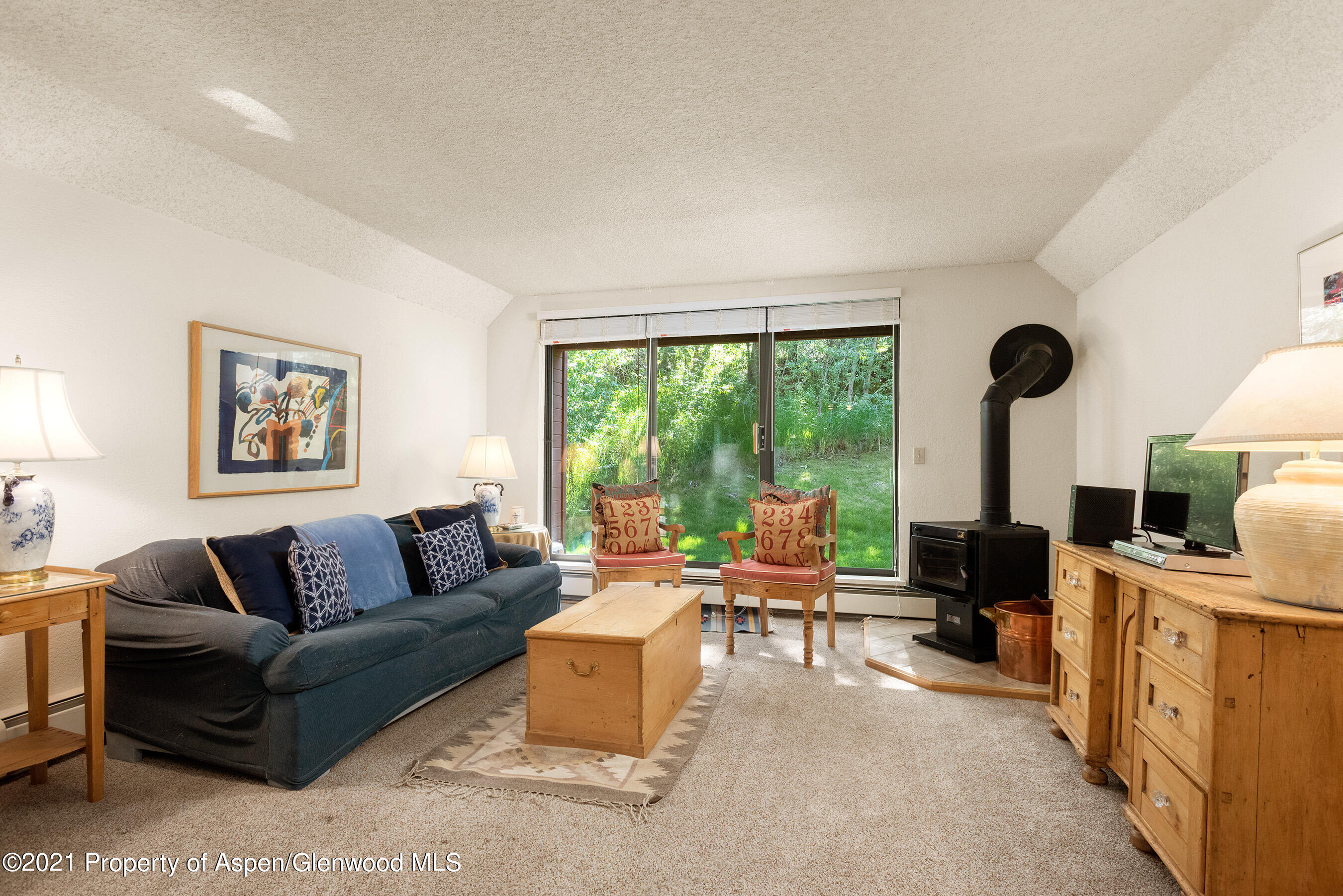 1315 Vine Street Aspen CO 81611