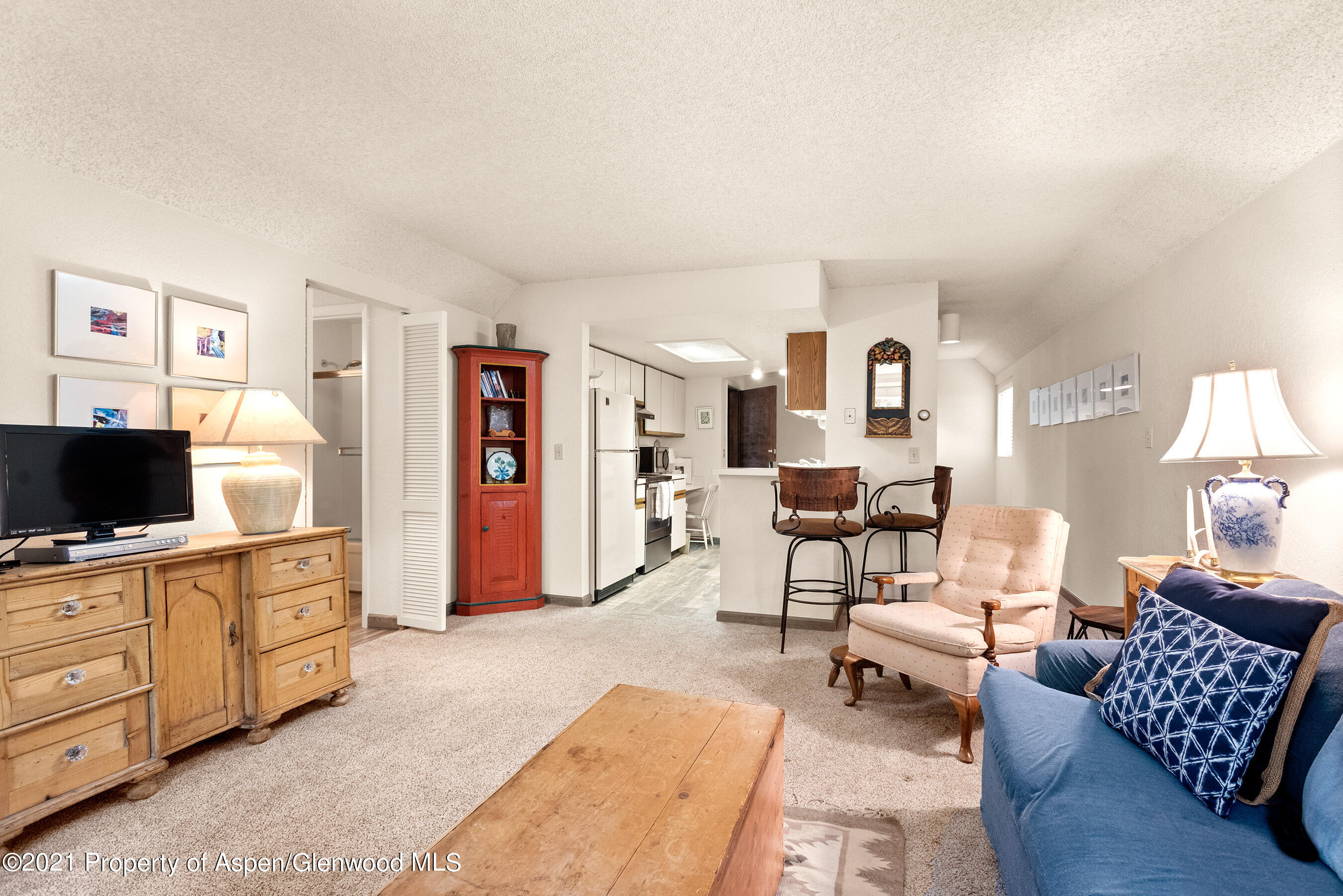 1315 Vine Street Aspen CO 81611