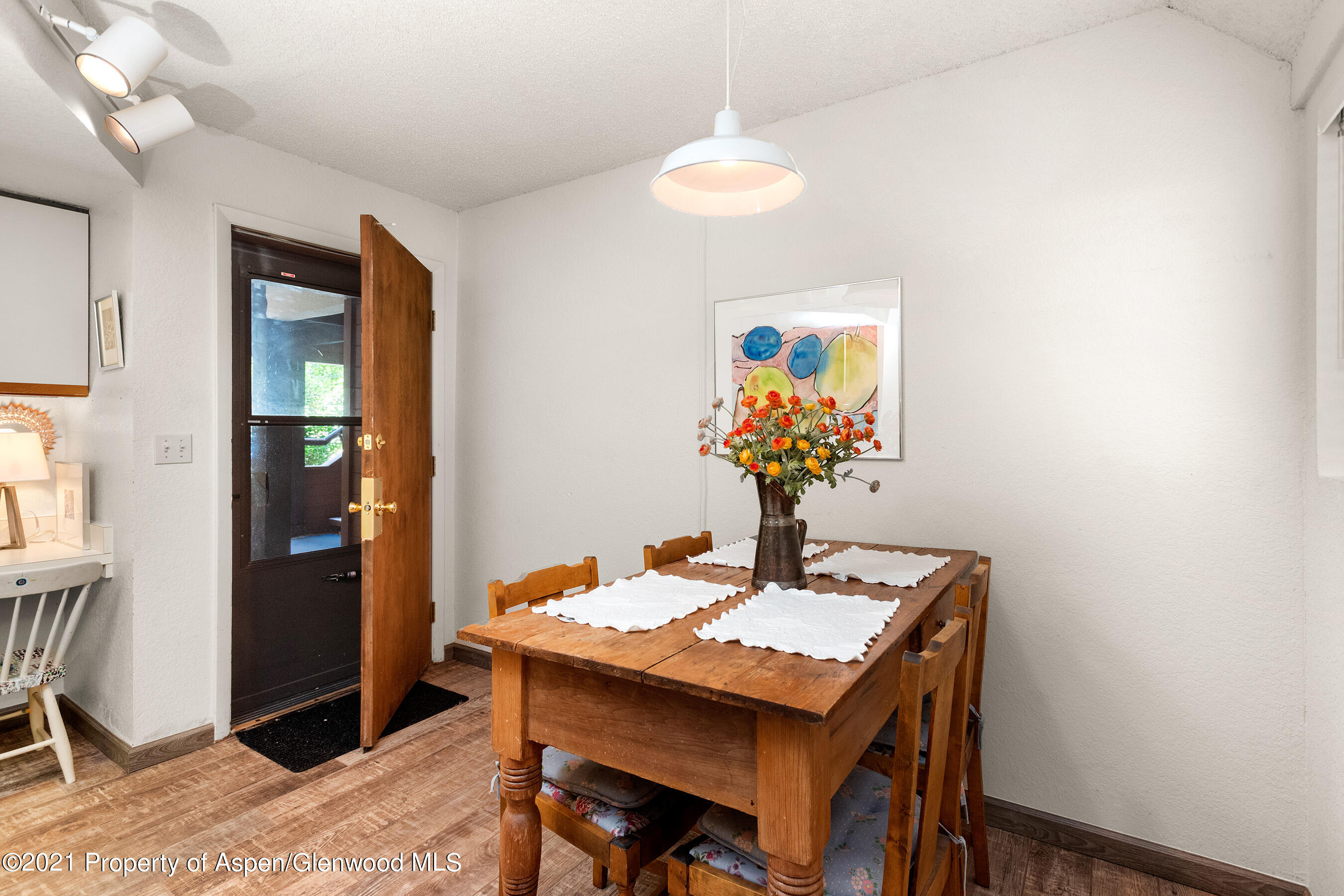 1315 Vine Street Aspen CO 81611