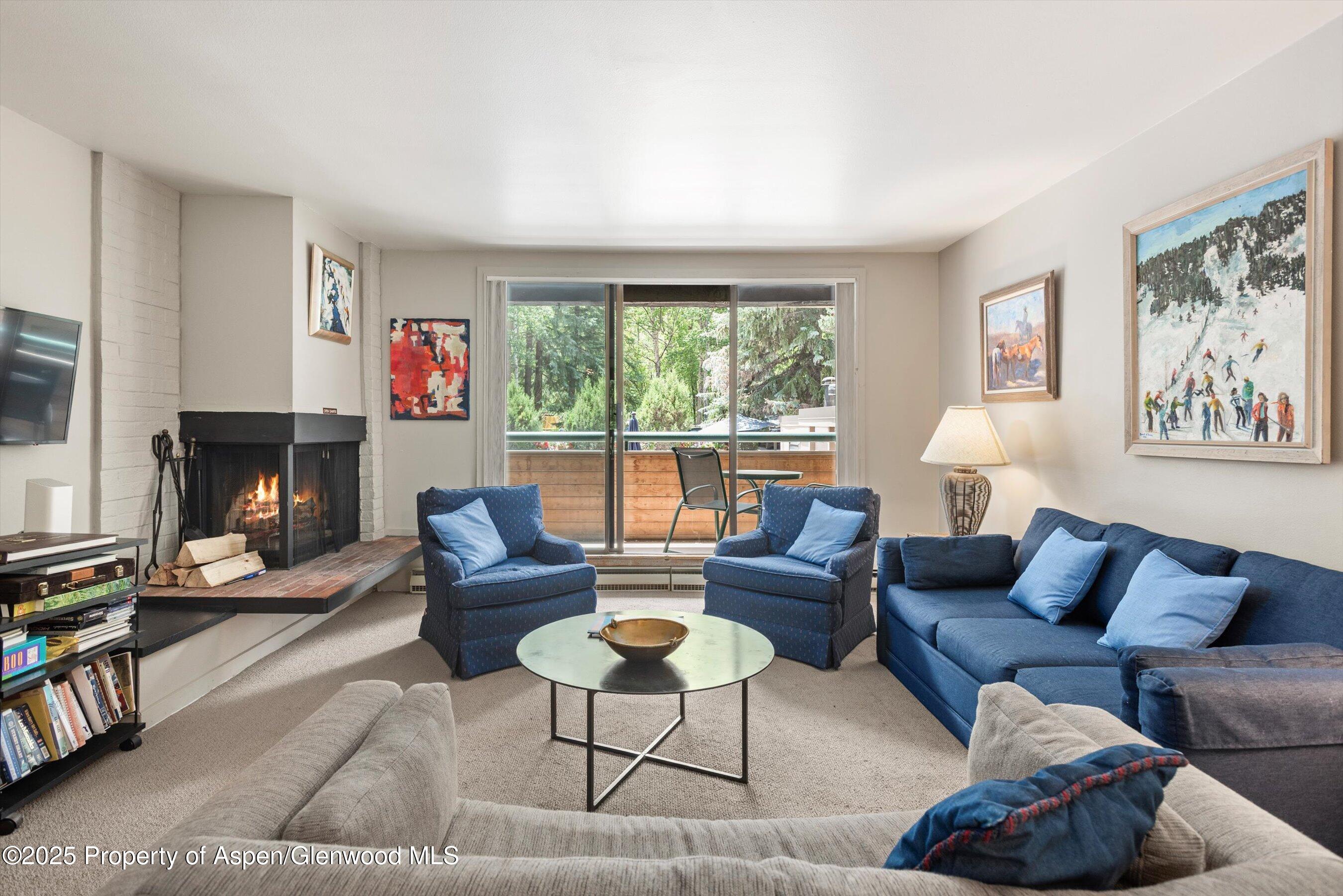 1024 E Hopkins Avenue Aspen CO 81611