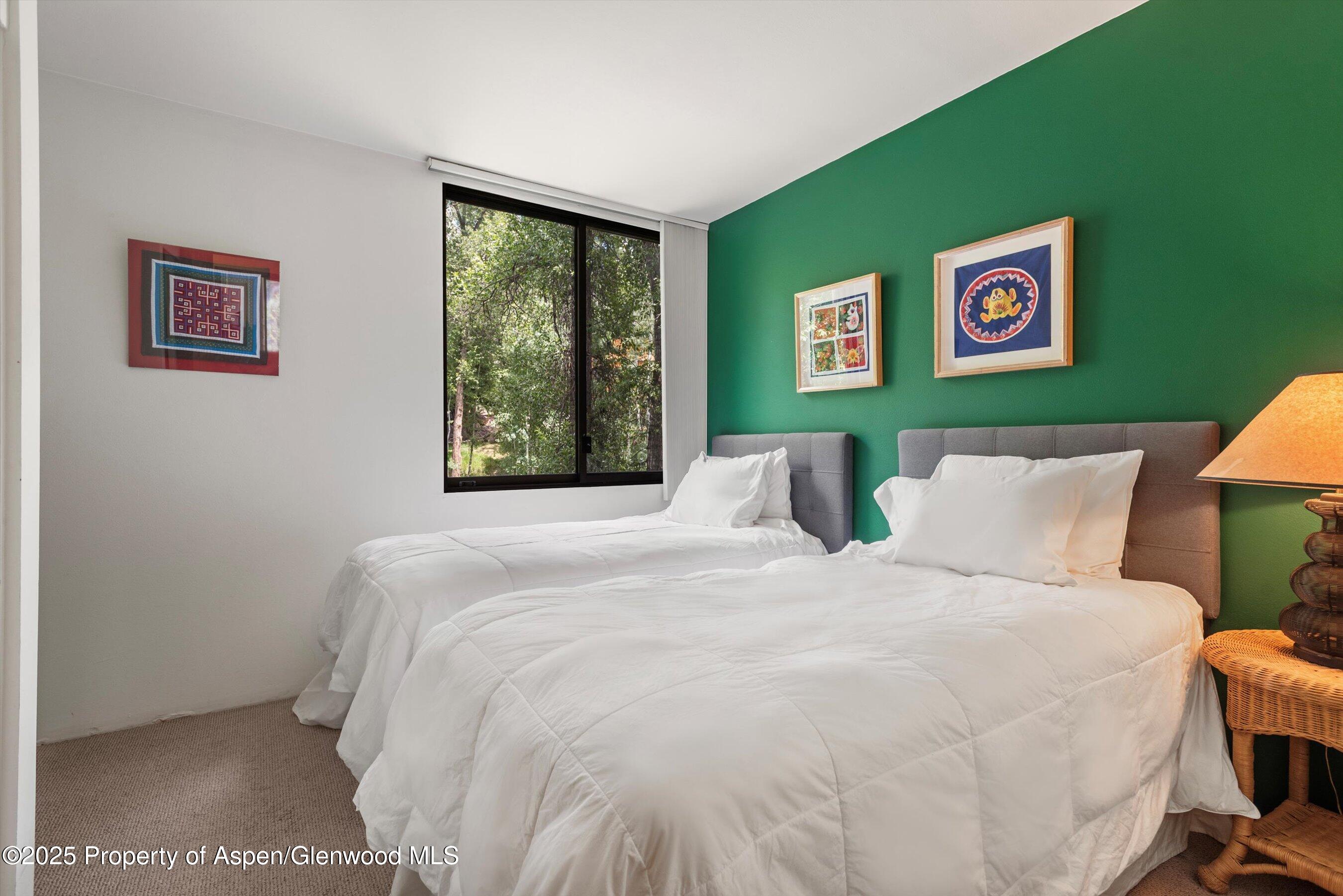 1024 E Hopkins Avenue Aspen CO 81611