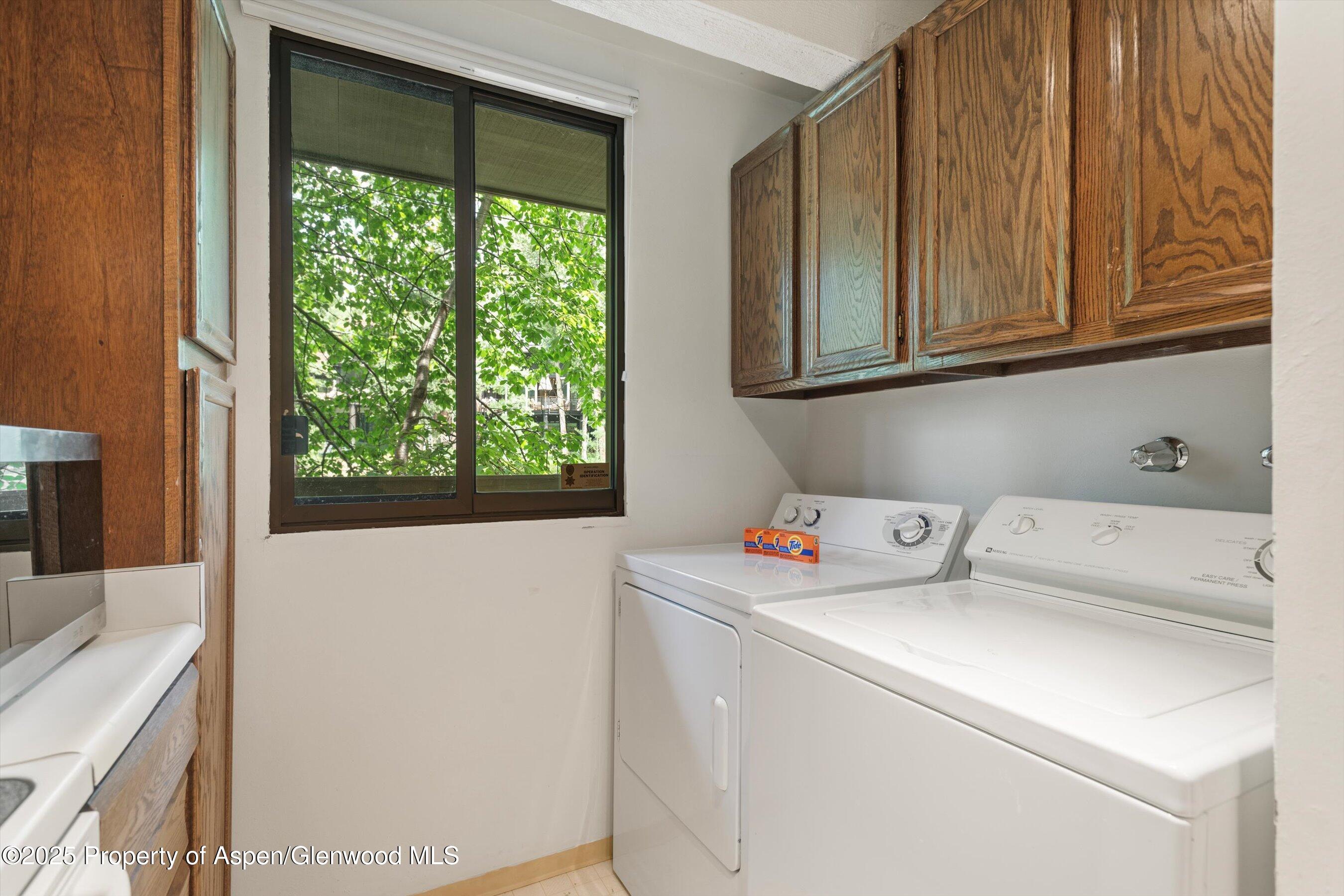 1024 E Hopkins Avenue Aspen CO 81611