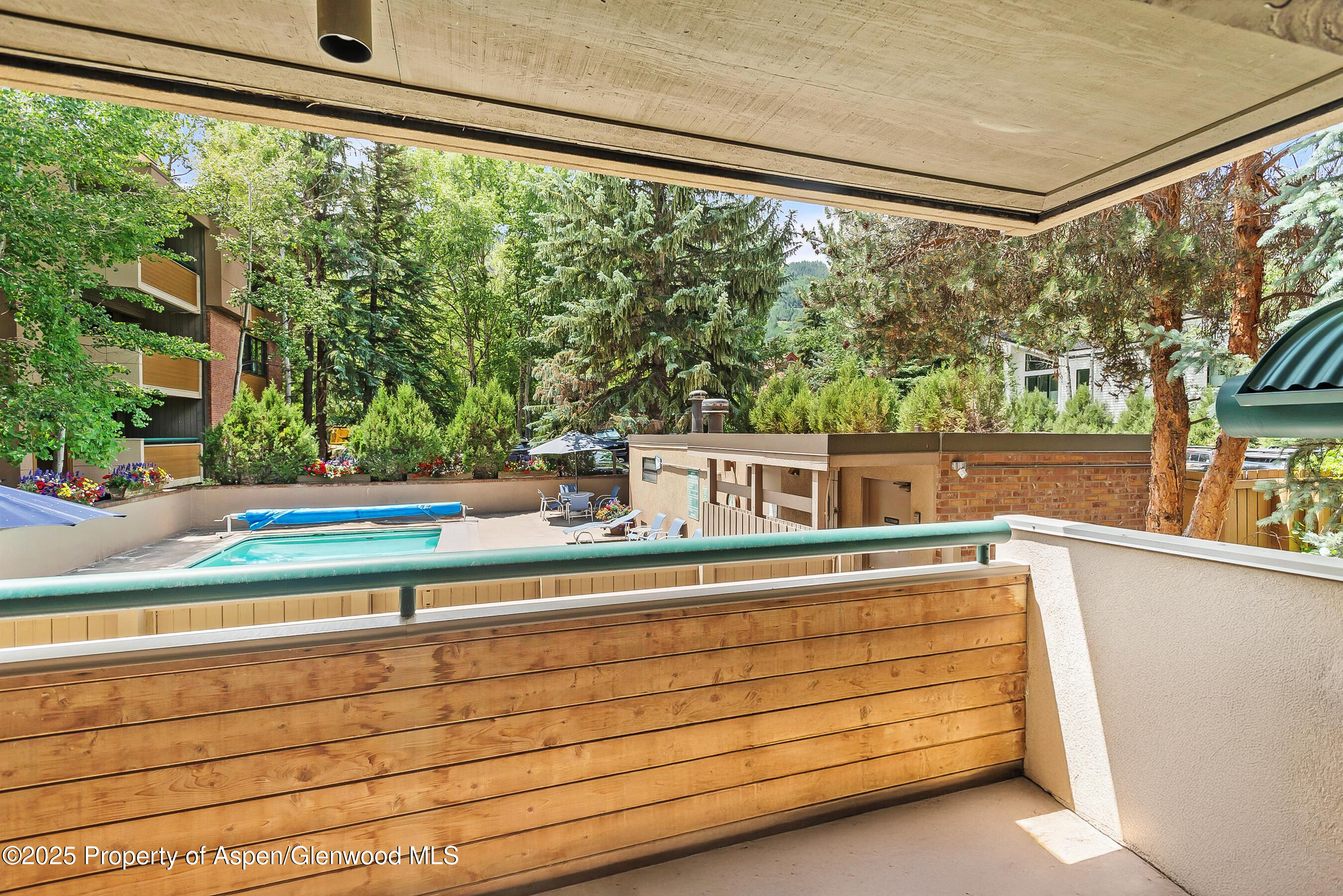 1024 E Hopkins Avenue Aspen CO 81611