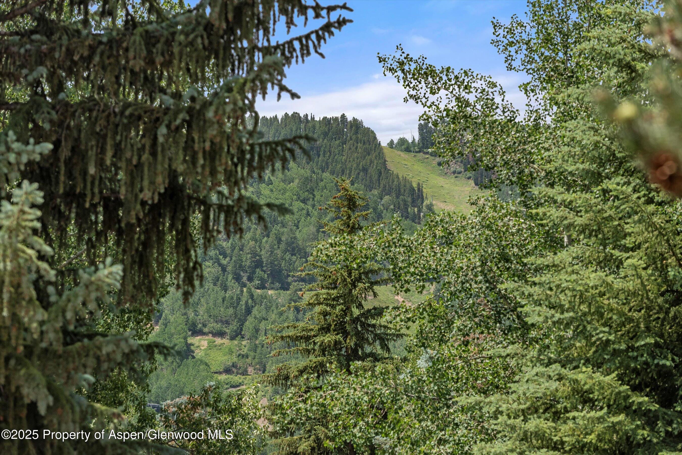 1024 E Hopkins Avenue Aspen CO 81611