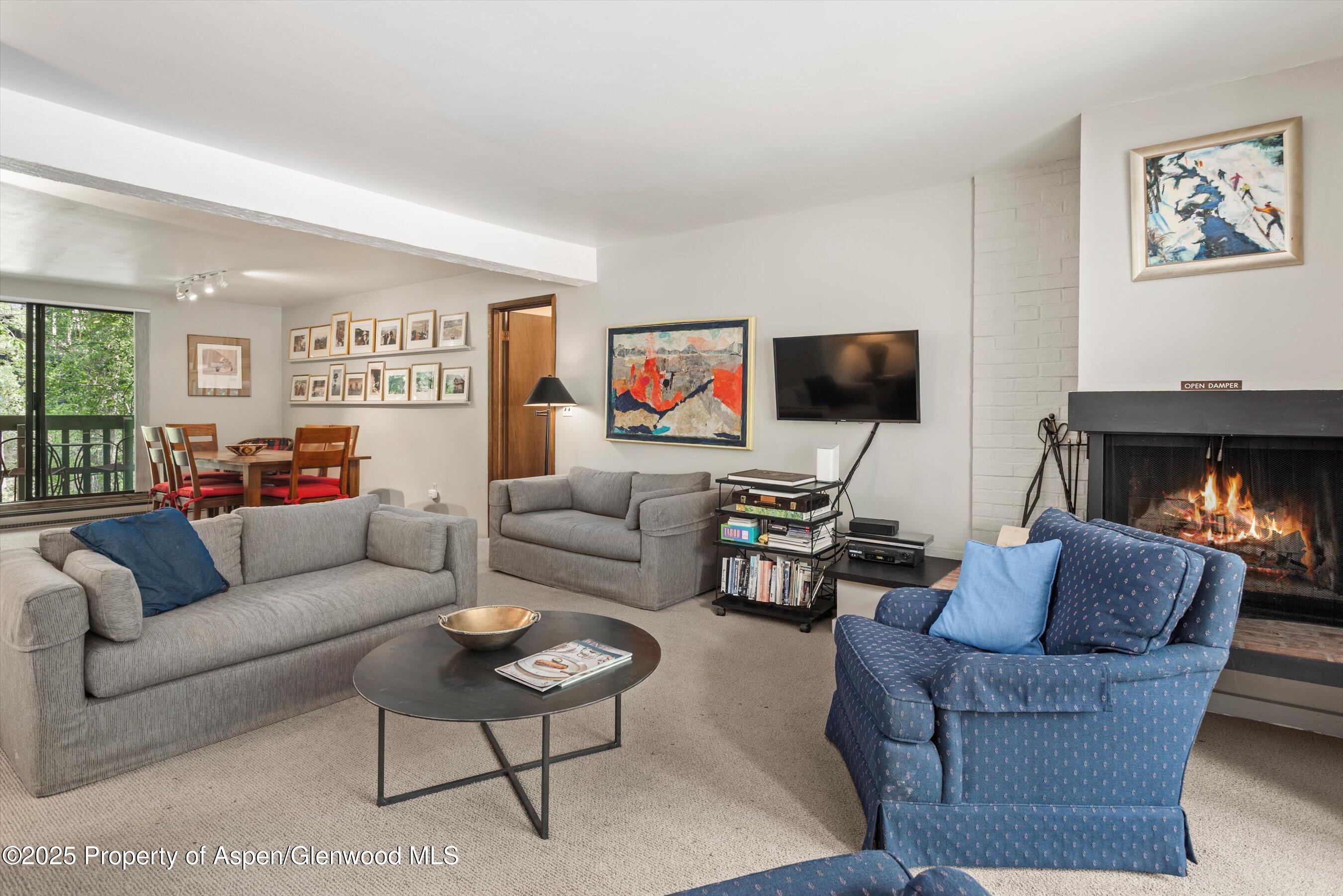 1024 E Hopkins Avenue Aspen CO 81611