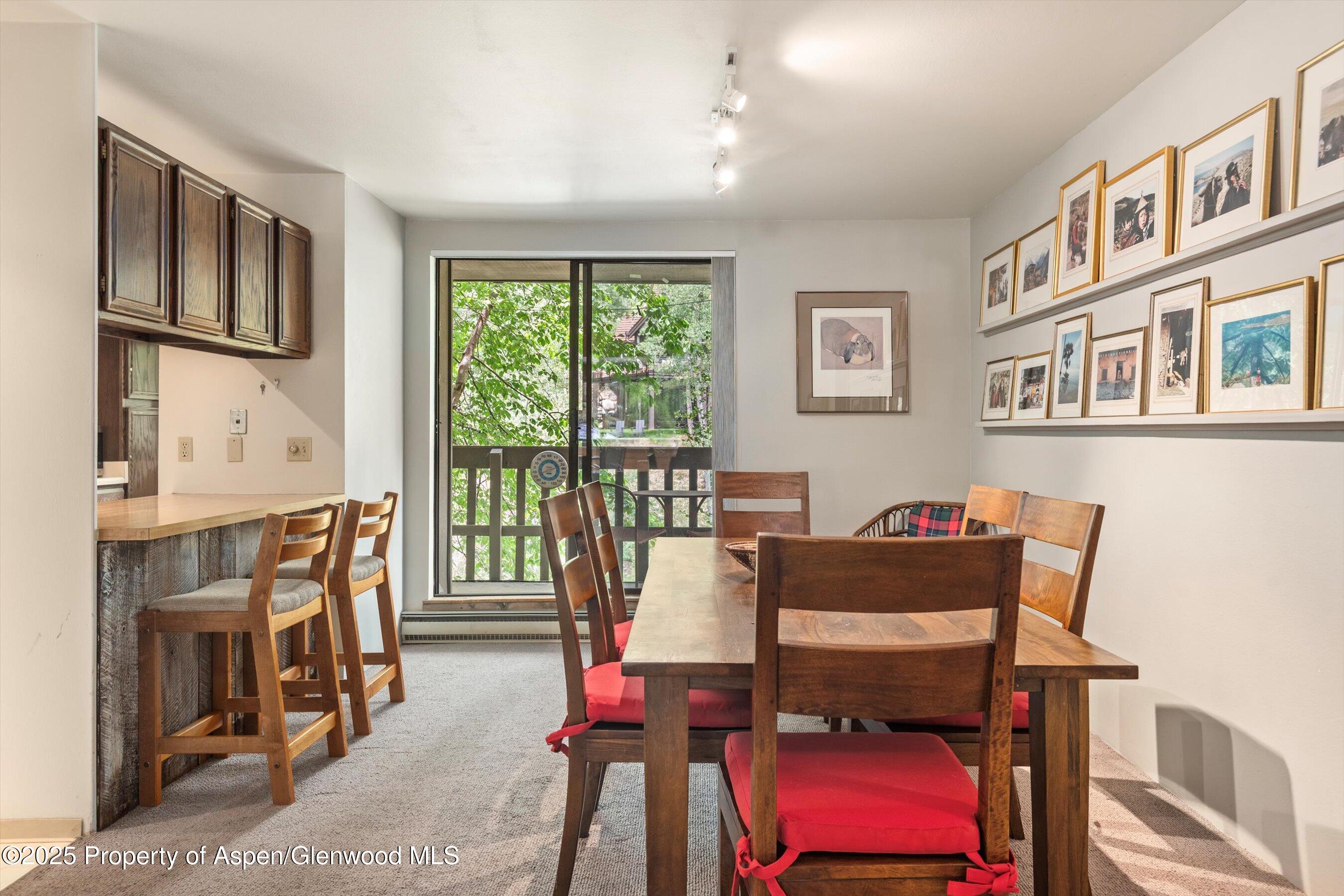 1024 E Hopkins Avenue Aspen CO 81611