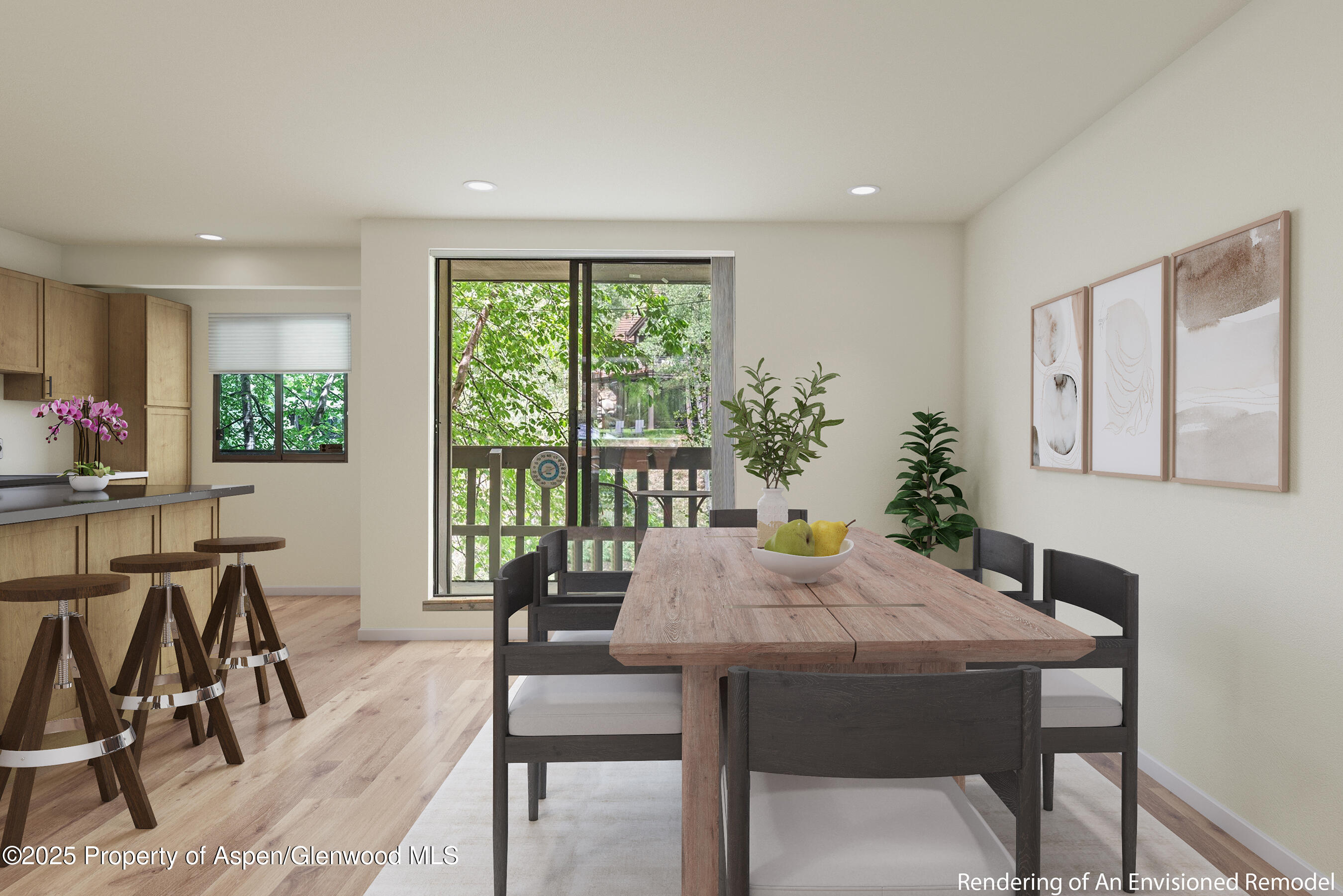 1024 E Hopkins Avenue Aspen CO 81611