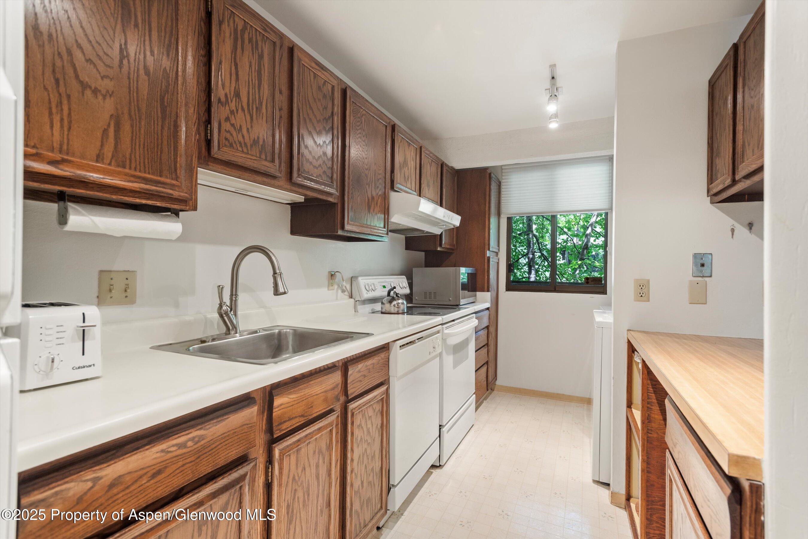 1024 E Hopkins Avenue Aspen CO 81611