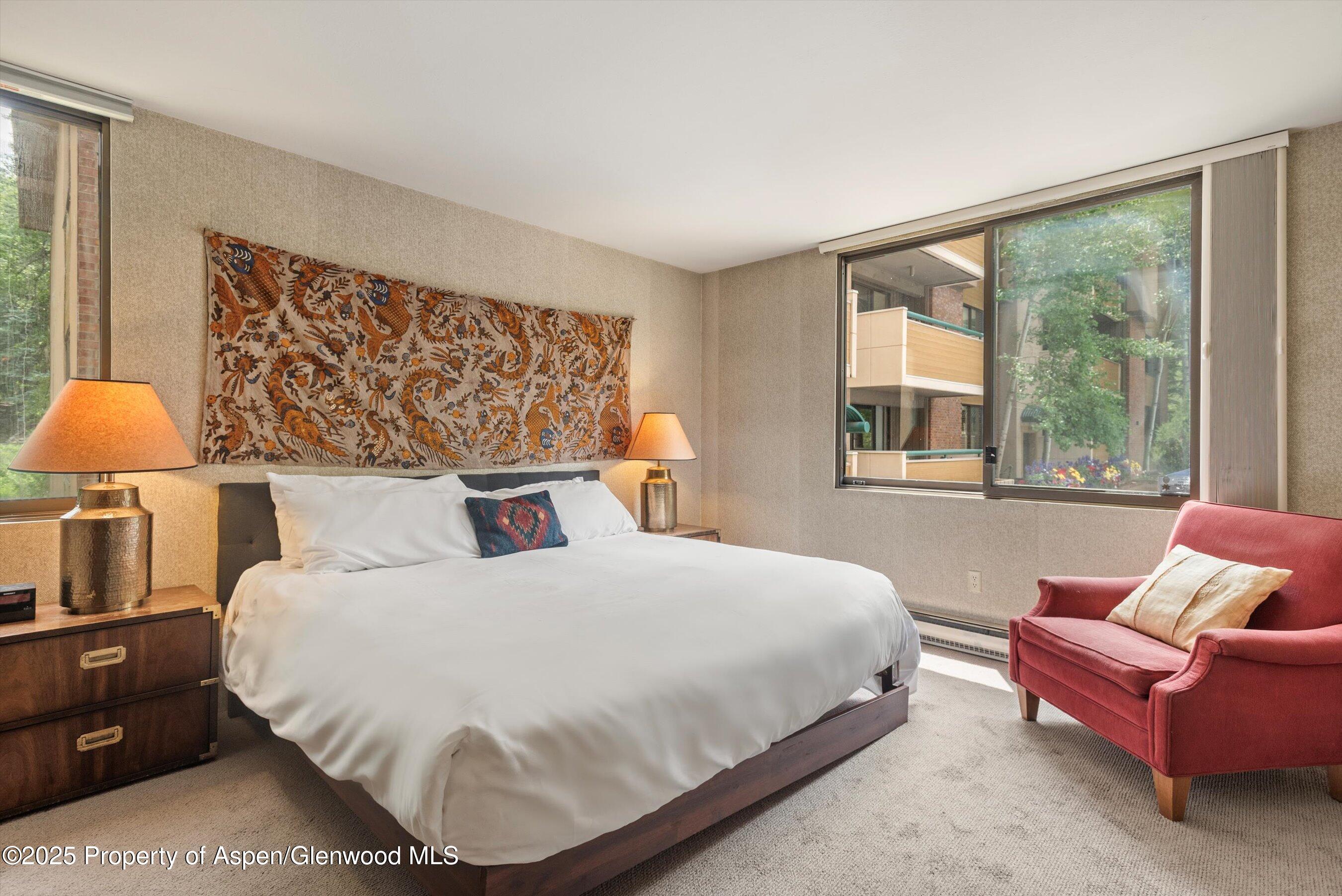 1024 E Hopkins Avenue Aspen CO 81611