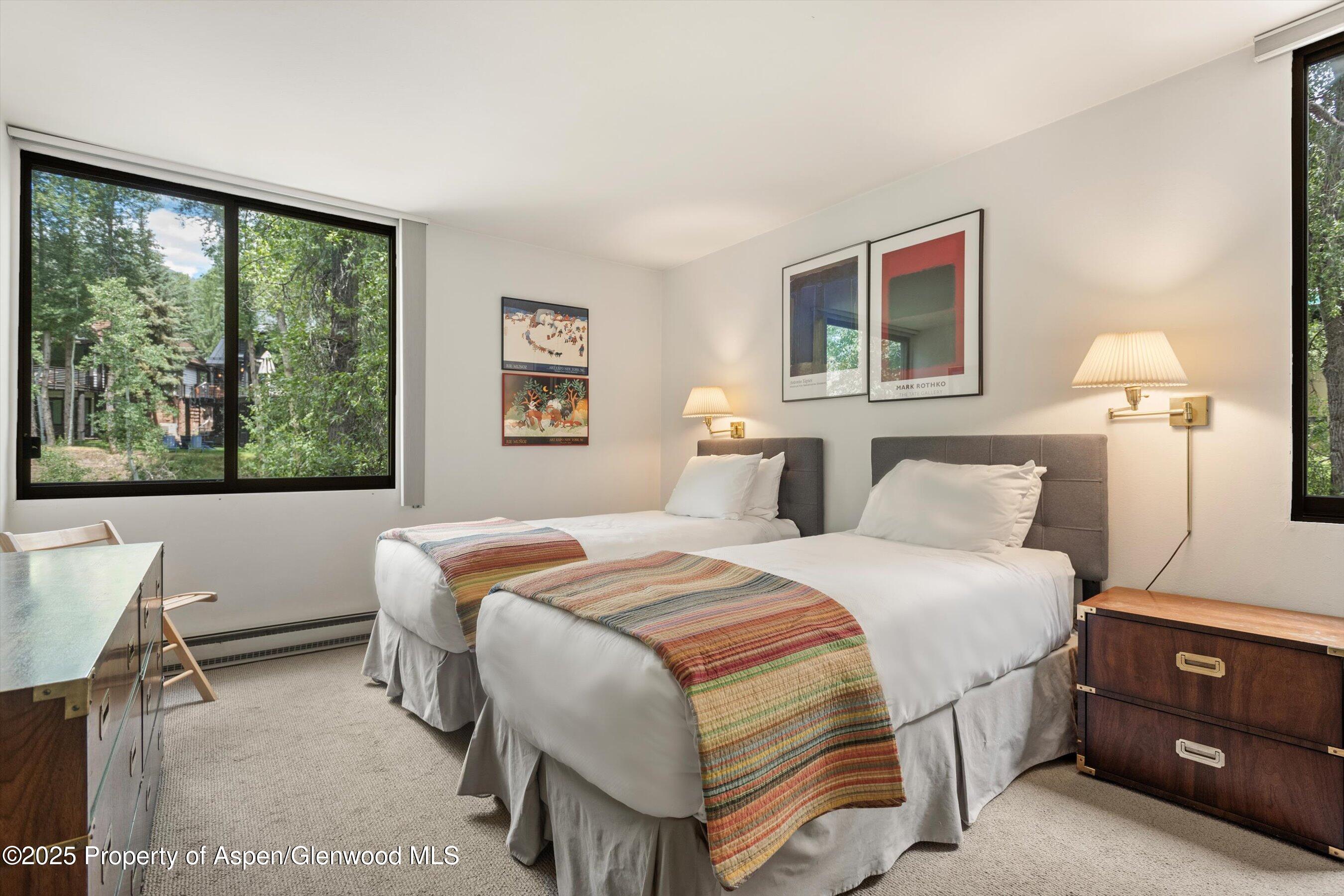 1024 E Hopkins Avenue Aspen CO 81611