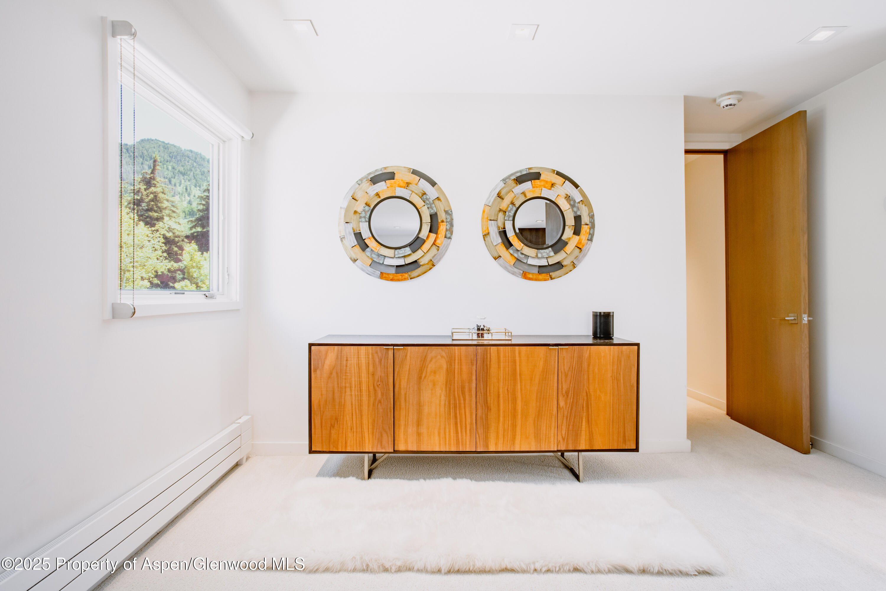 210 E Cooper Avenue Aspen CO 81611