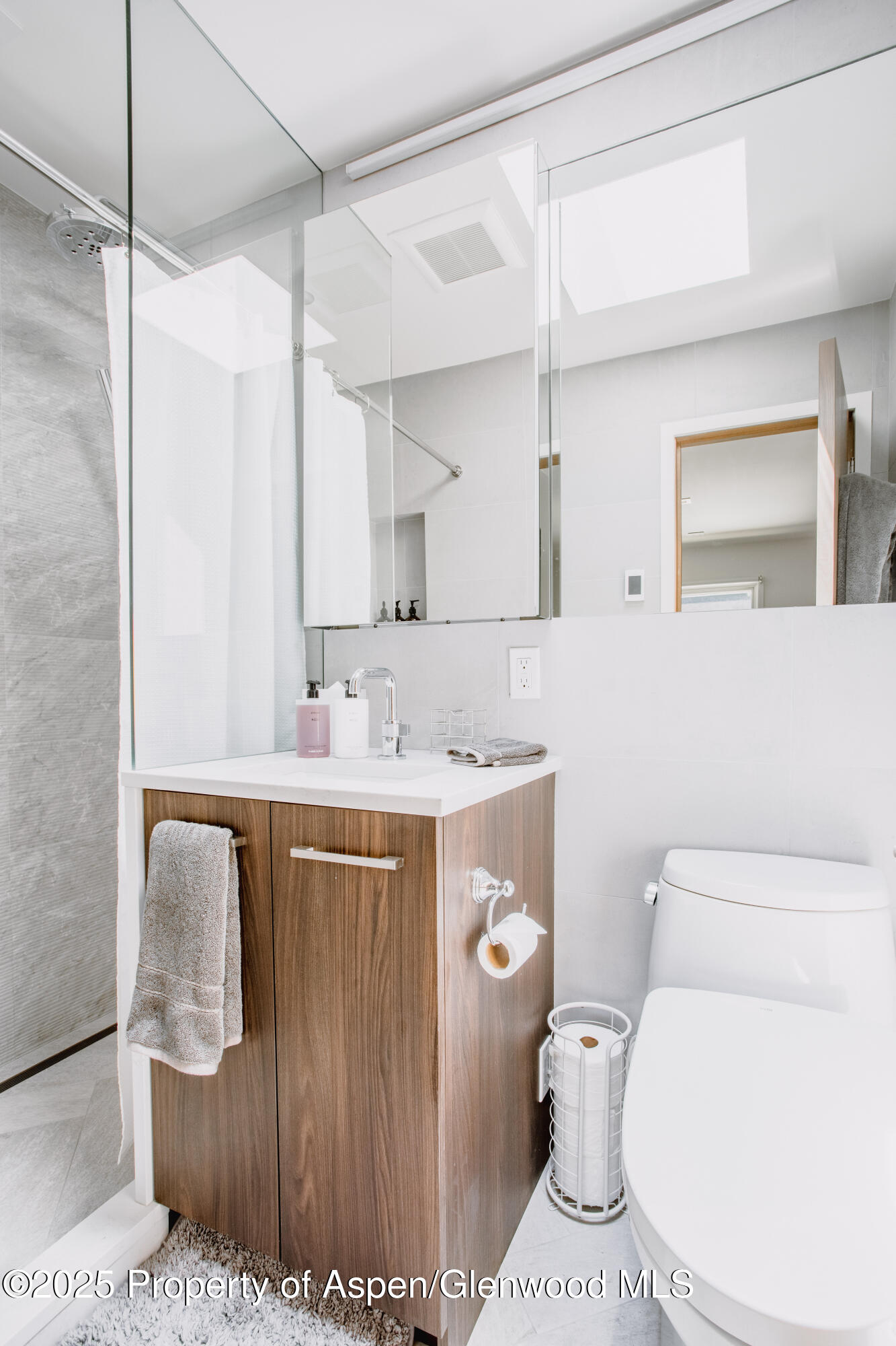 210 E Cooper Avenue Aspen CO 81611