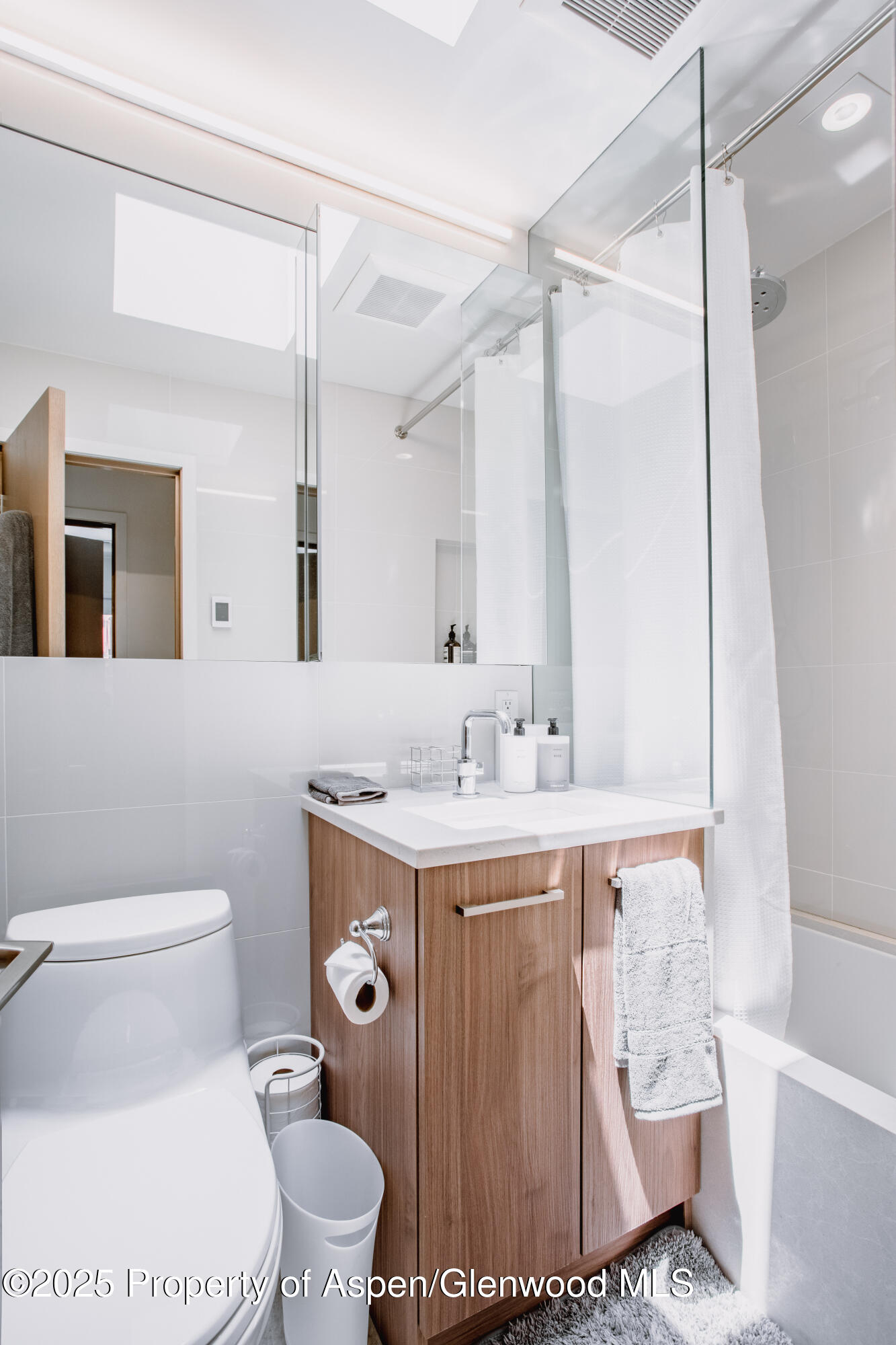 210 E Cooper Avenue Aspen CO 81611