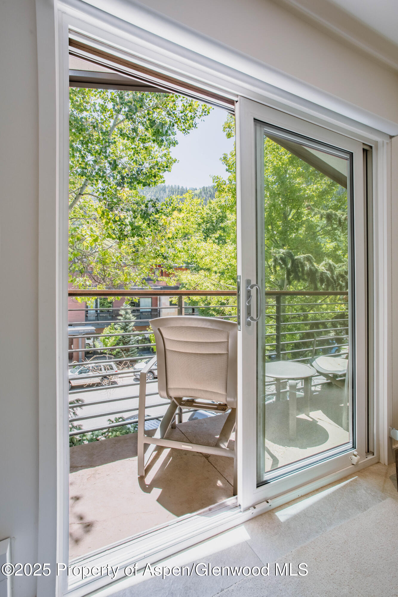 210 E Cooper Avenue Aspen CO 81611