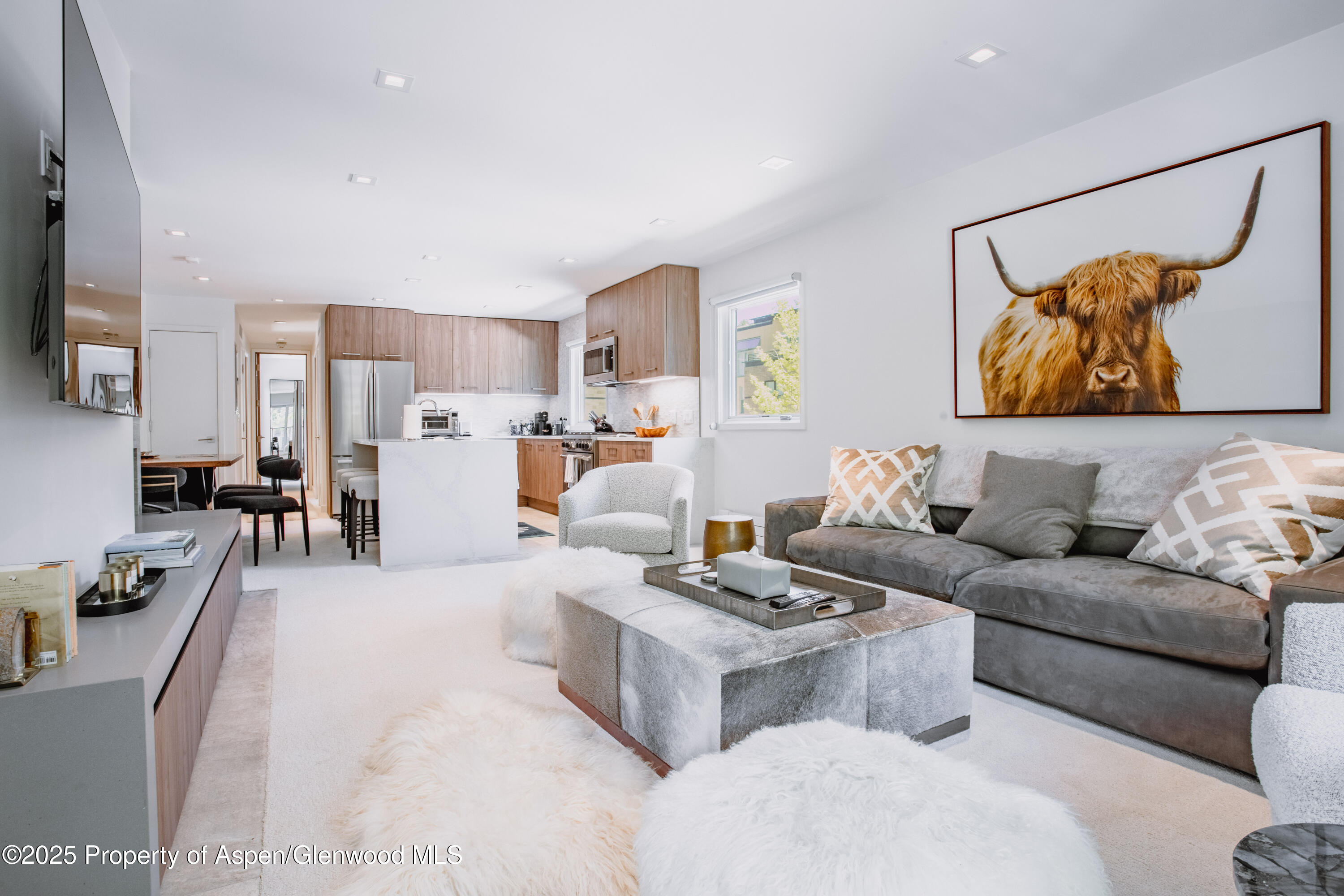 210 E Cooper Avenue Aspen CO 81611