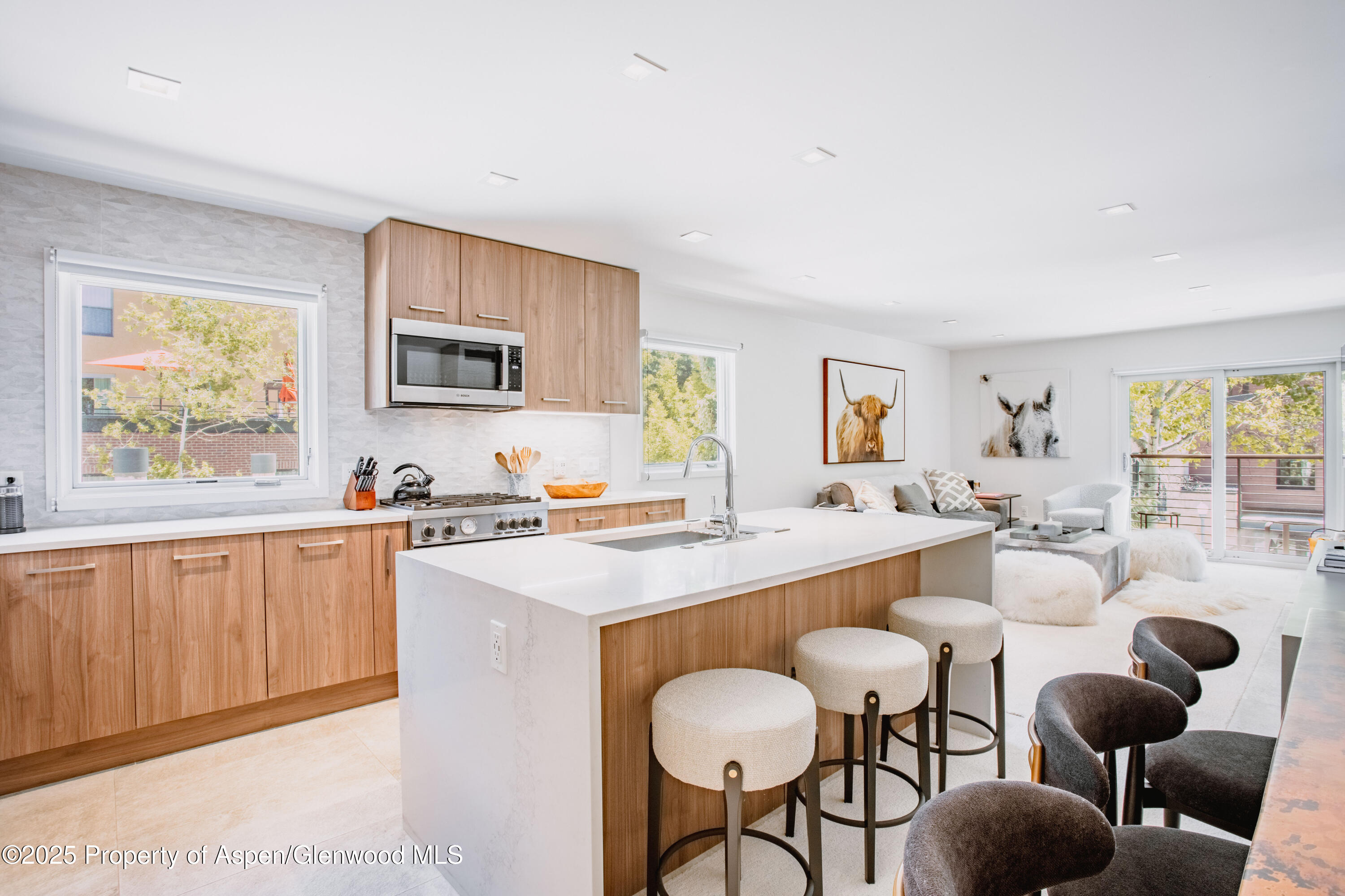 210 E Cooper Avenue Aspen CO 81611