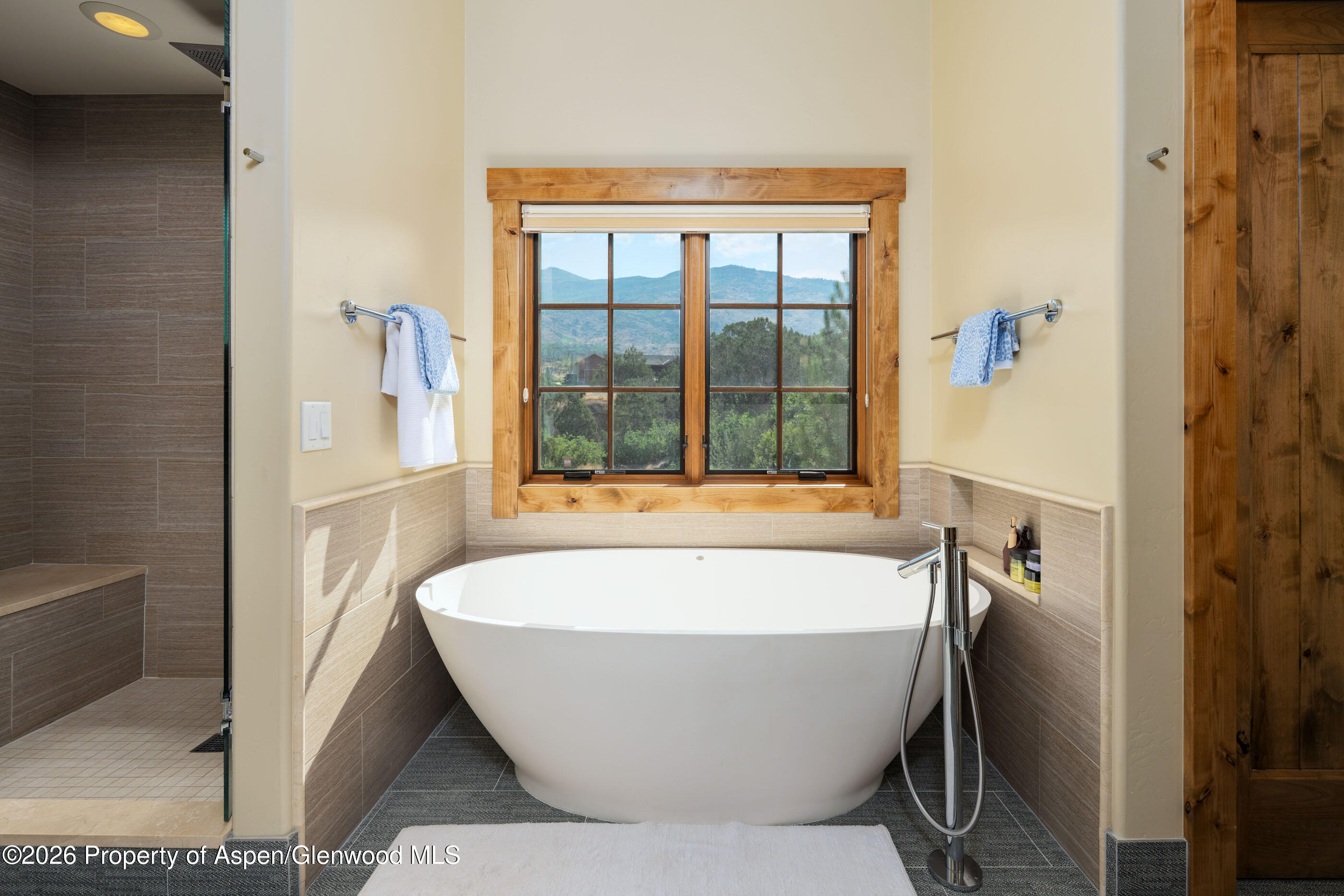 220 Overlook Ridge Basalt CO 81621
