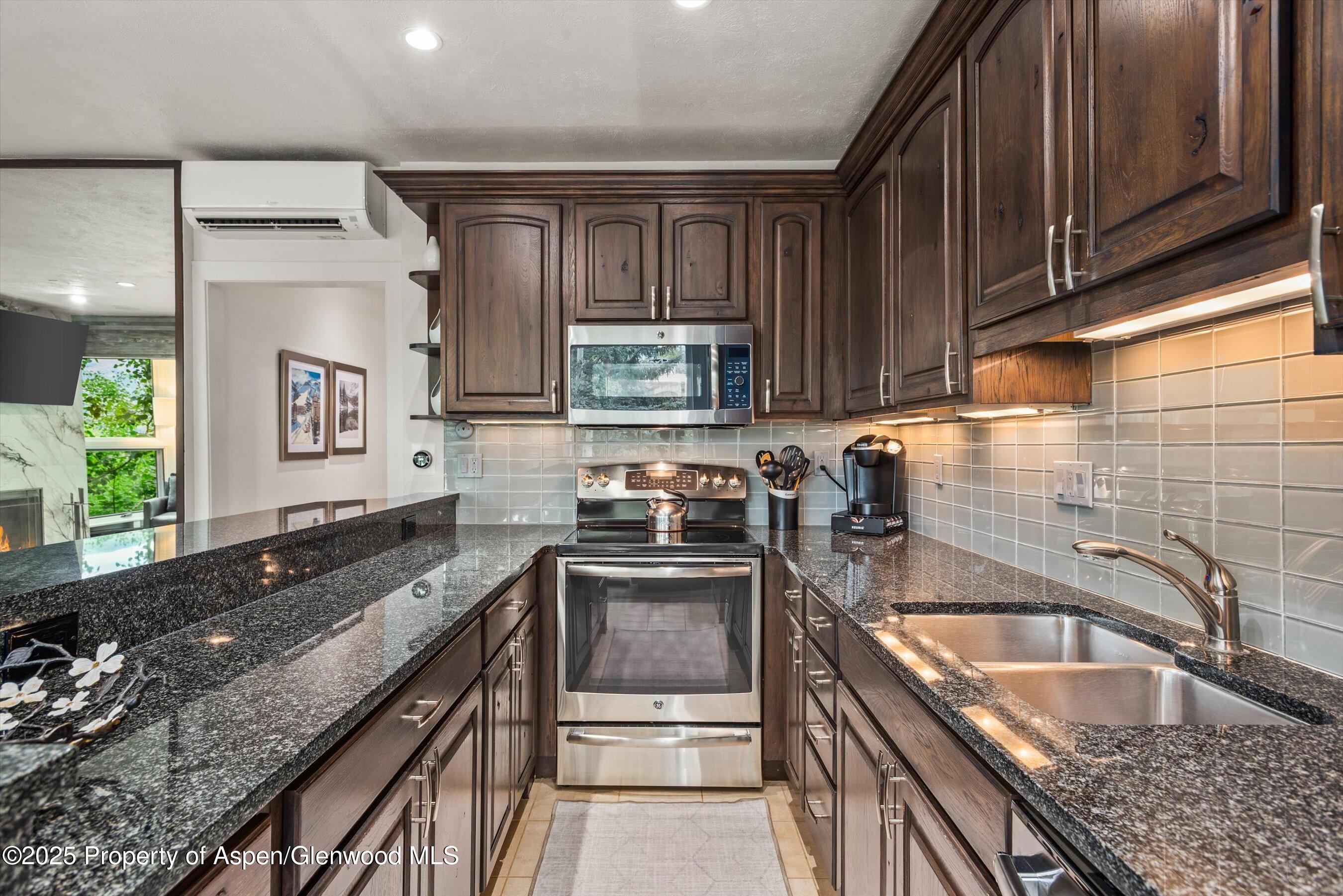 738 S Galena Street Aspen CO 81611