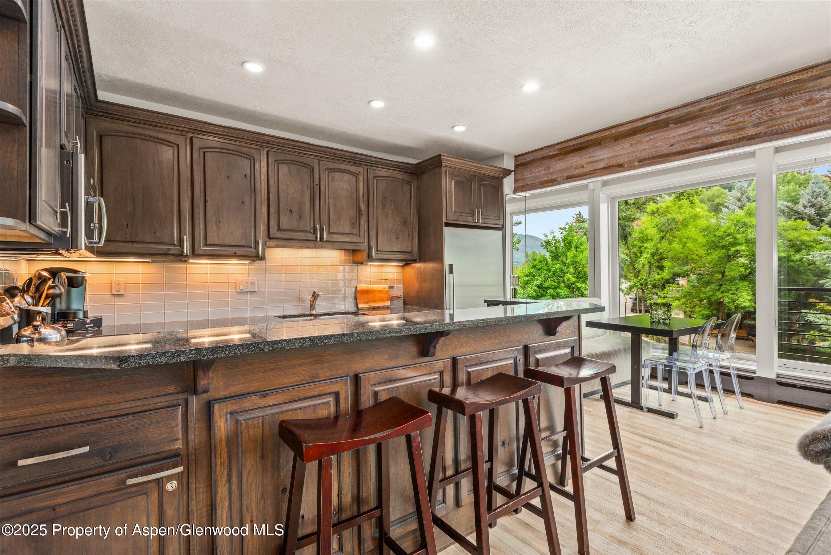 738 S Galena Street Aspen CO 81611