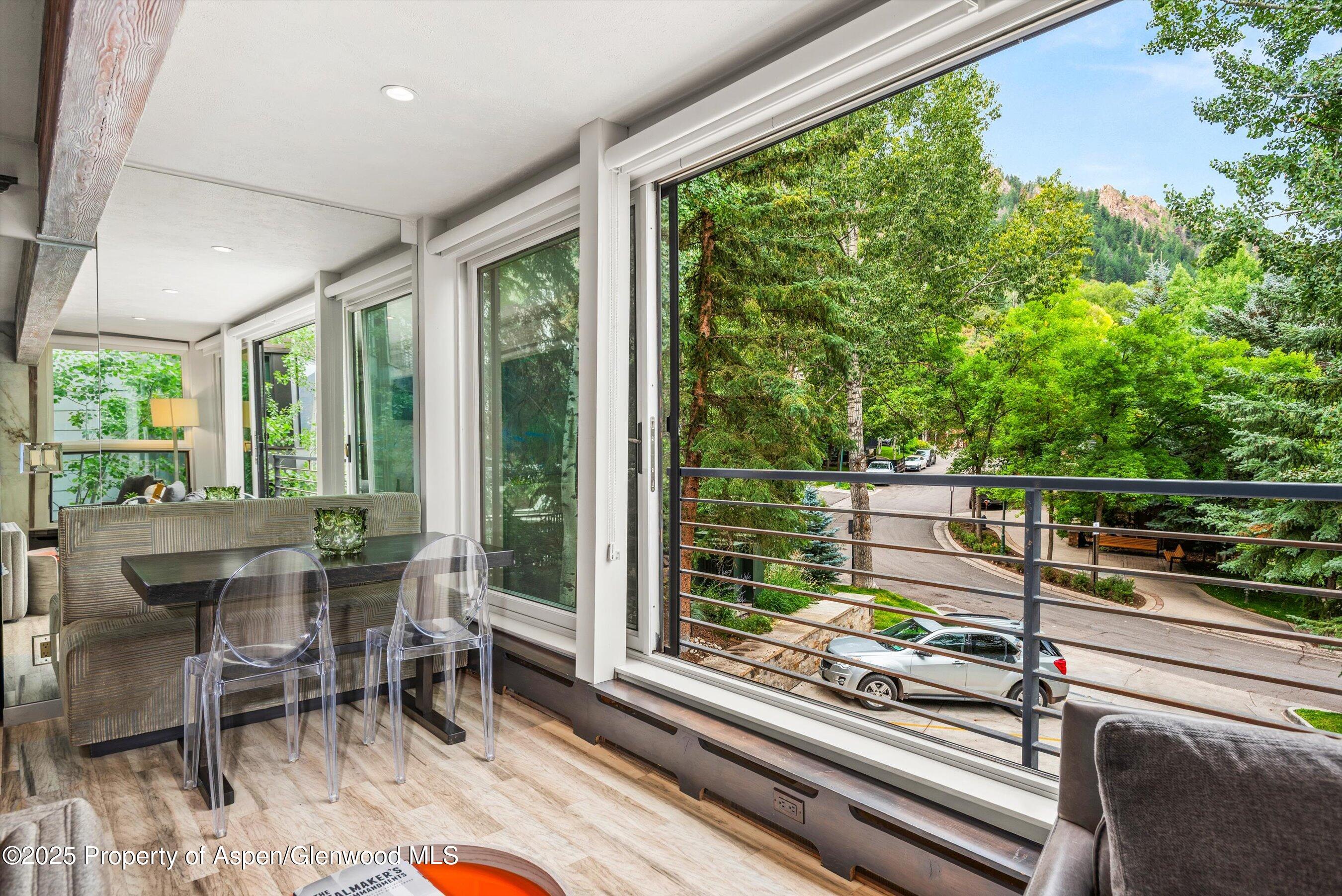 738 S Galena Street Aspen CO 81611