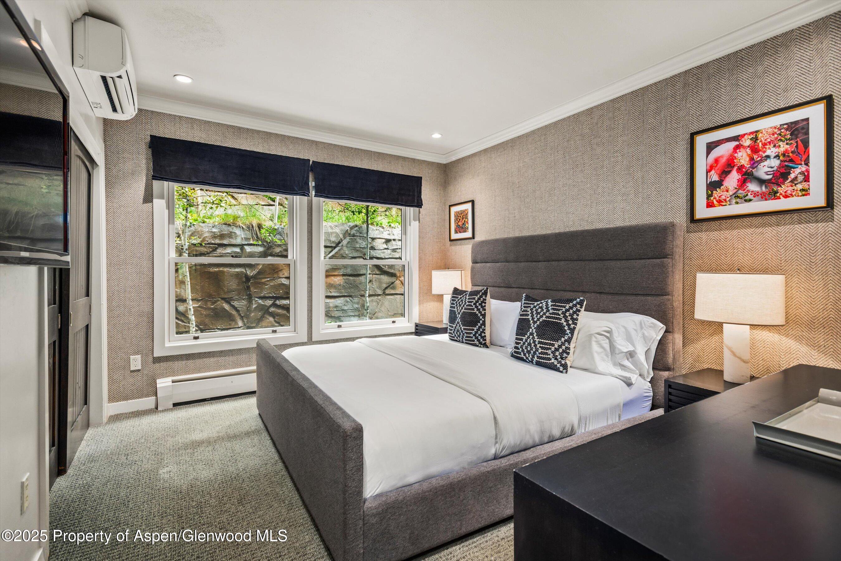 738 S Galena Street Aspen CO 81611