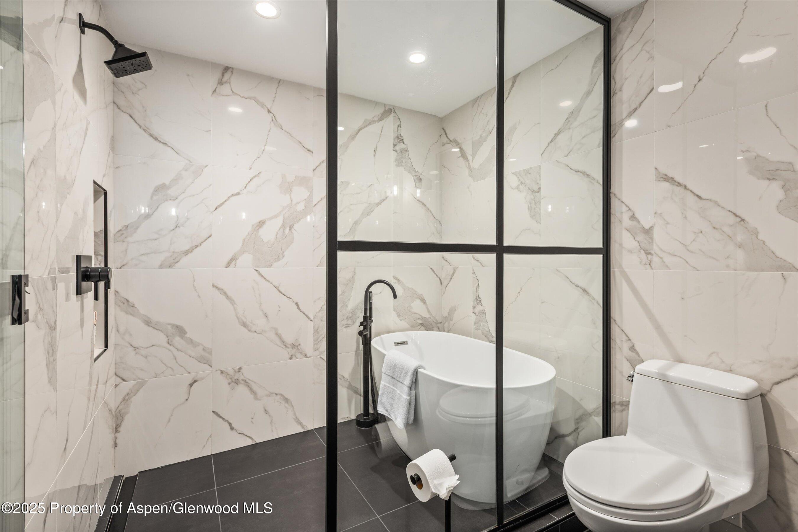 738 S Galena Street Aspen CO 81611