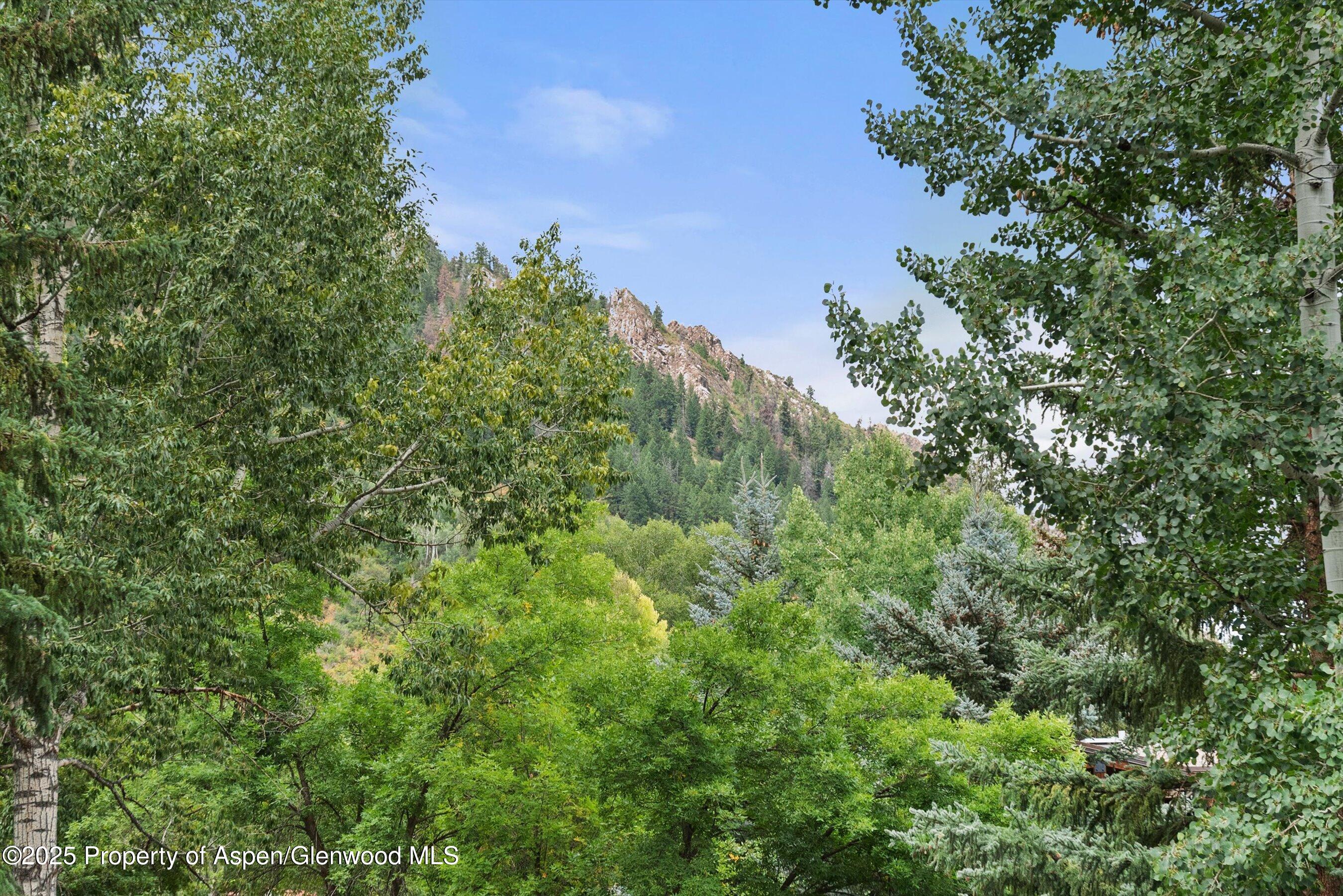 738 S Galena Street Aspen CO 81611