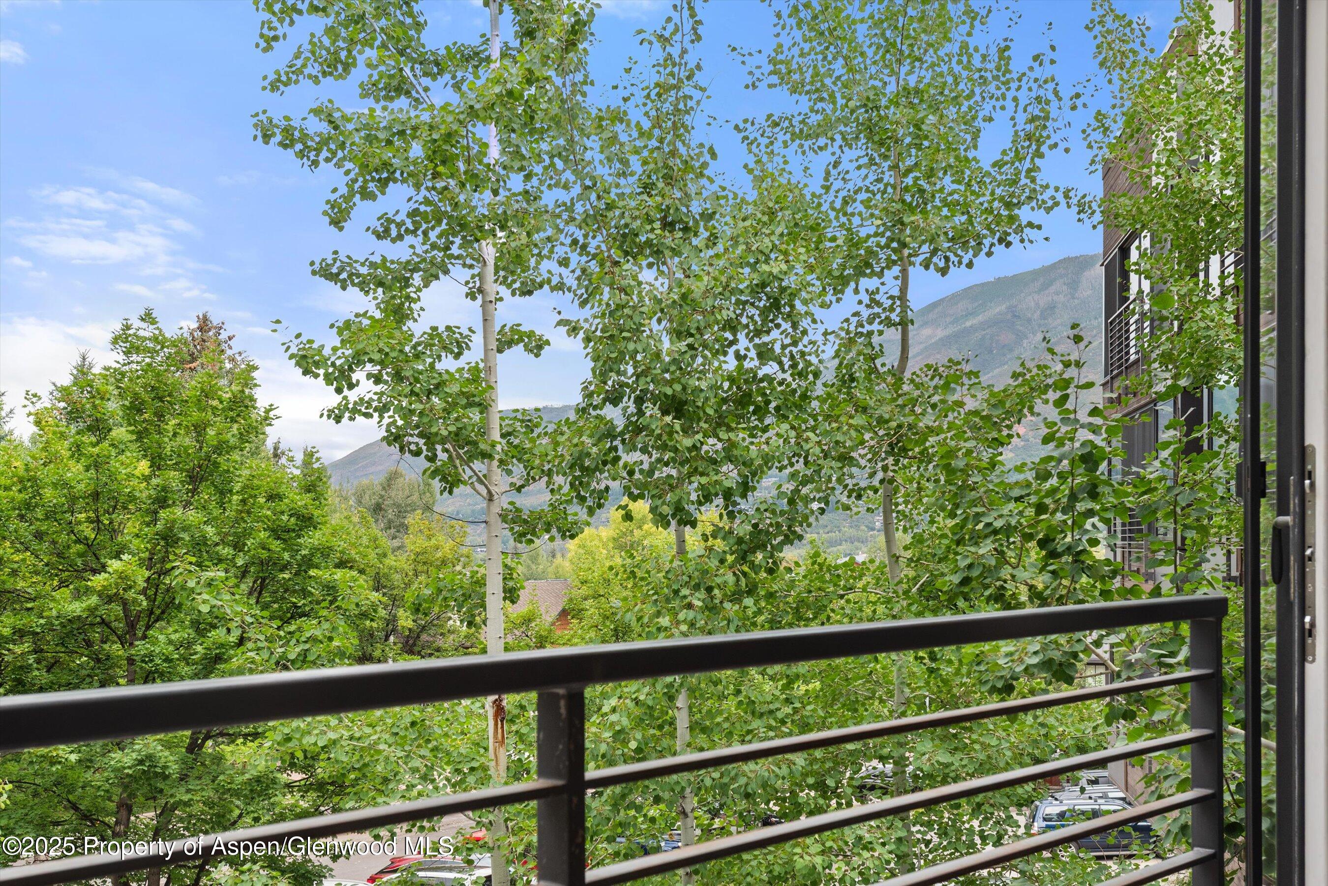 738 S Galena Street Aspen CO 81611