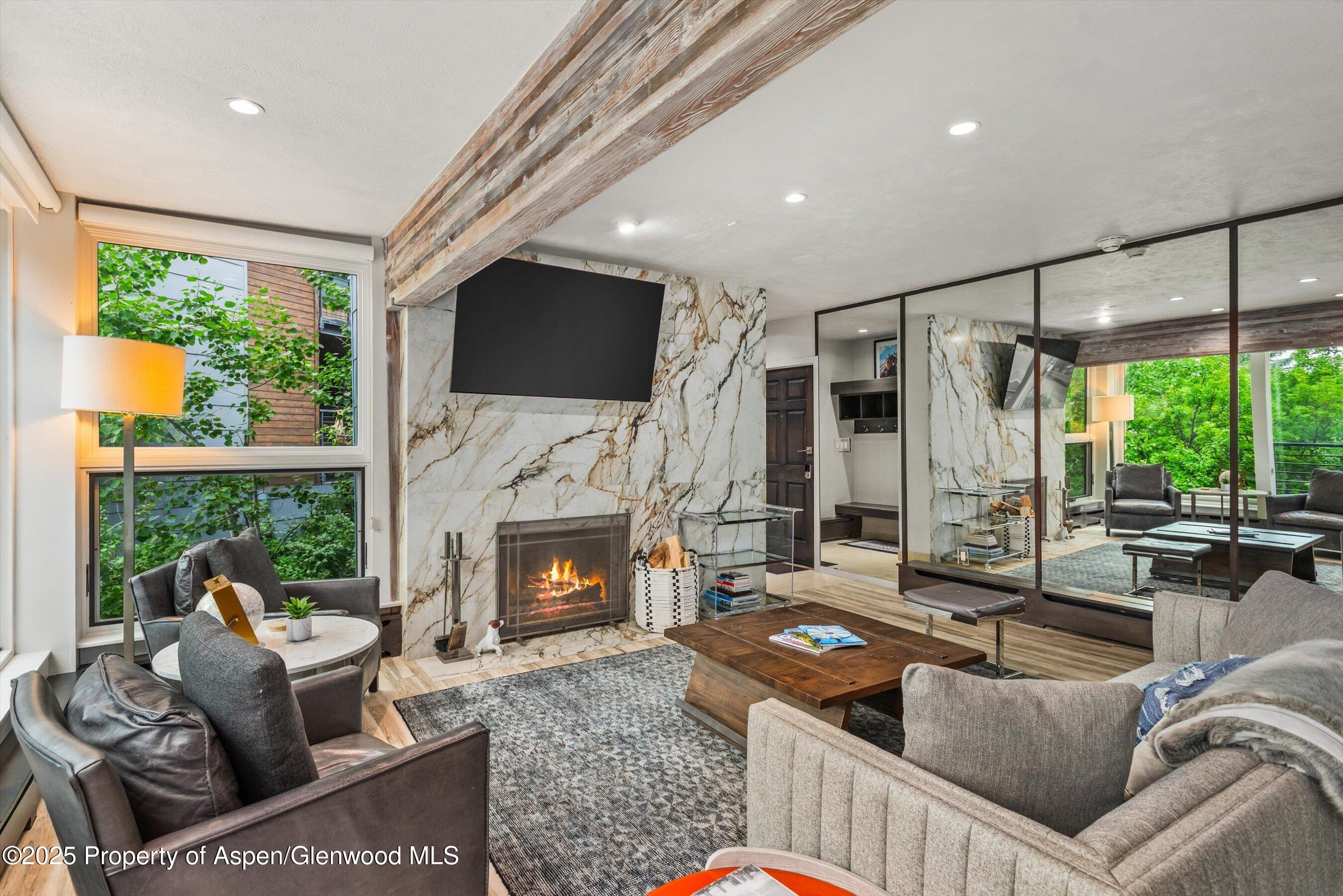 738 S Galena Street Aspen CO 81611