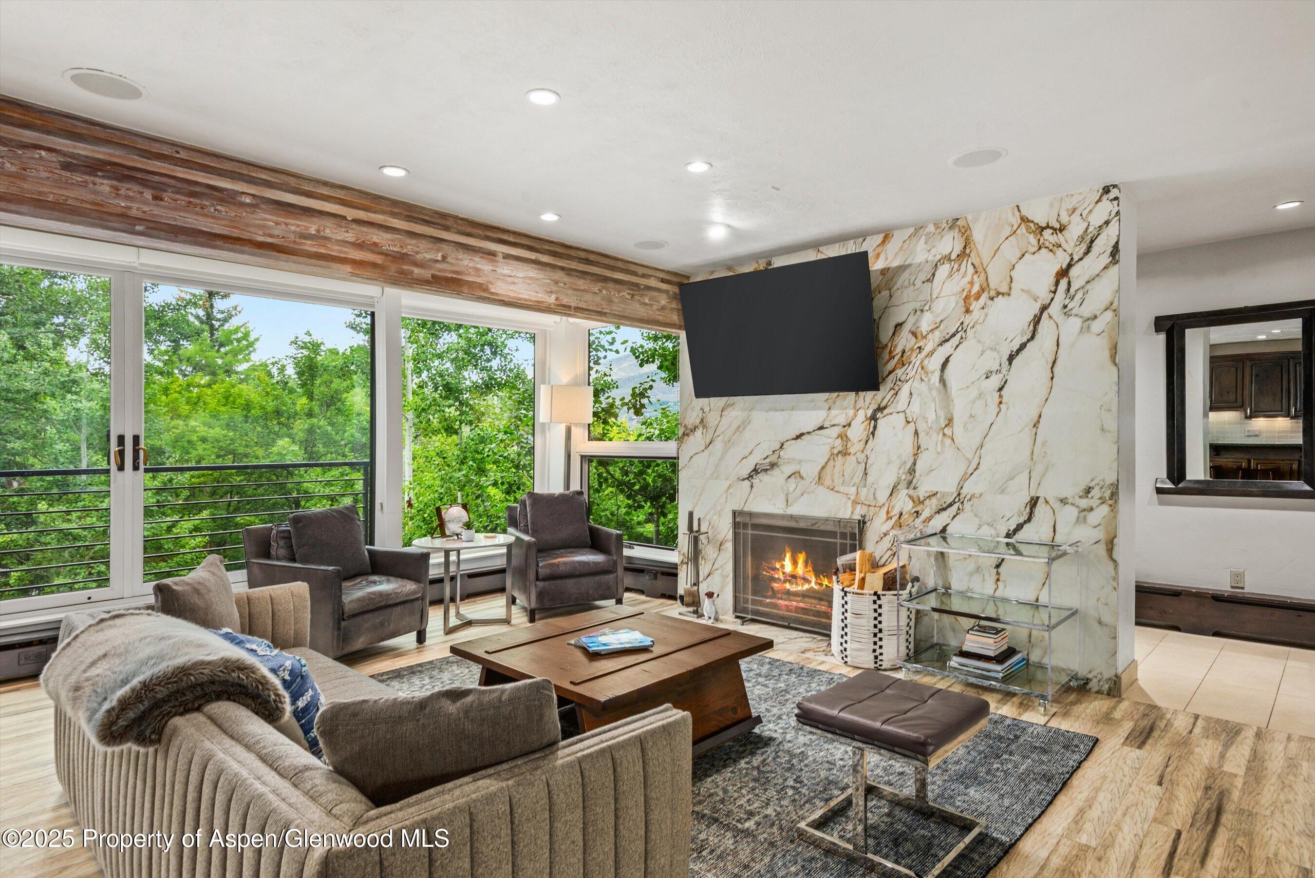 738 S Galena Street Aspen CO 81611