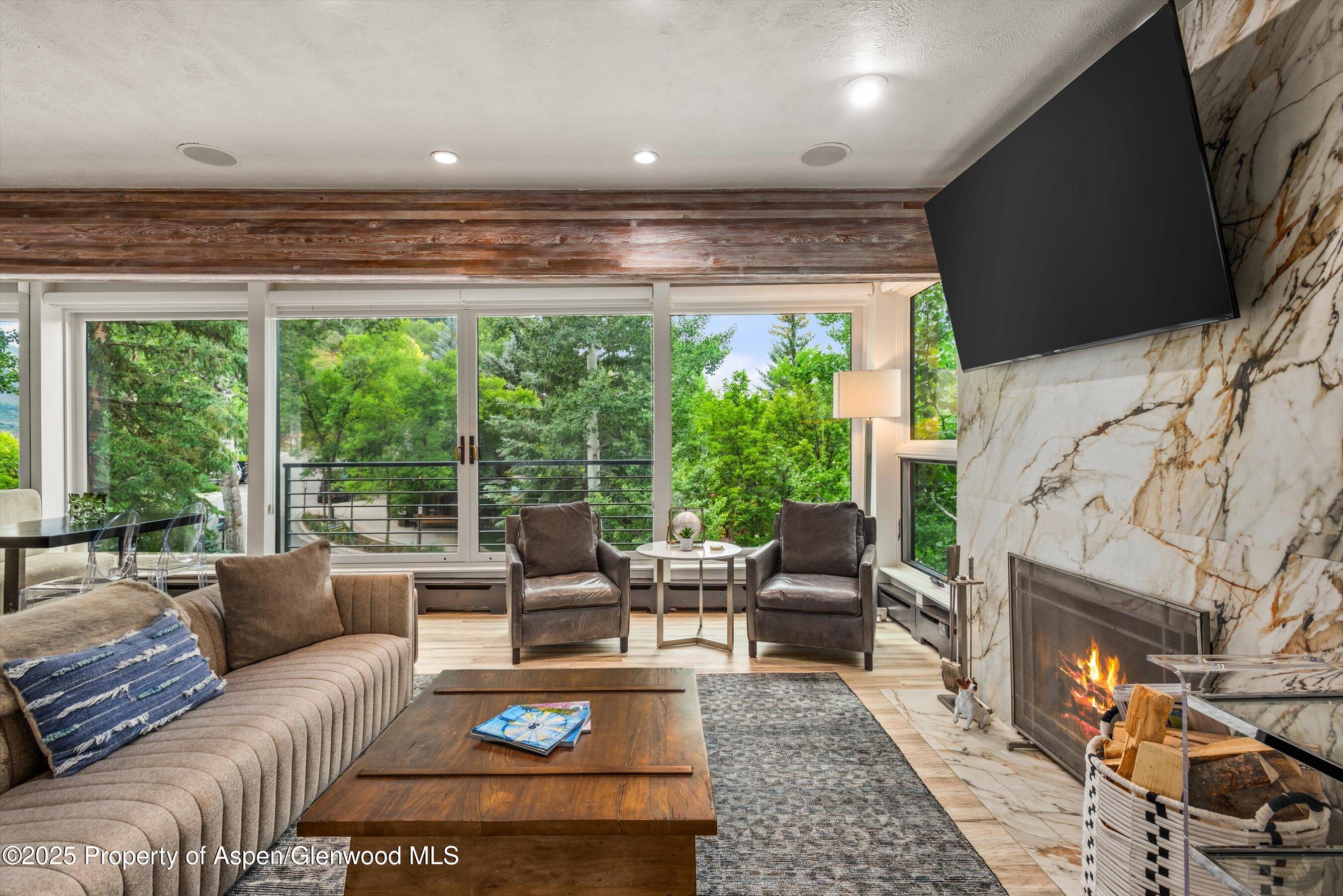 738 S Galena Street Aspen CO 81611