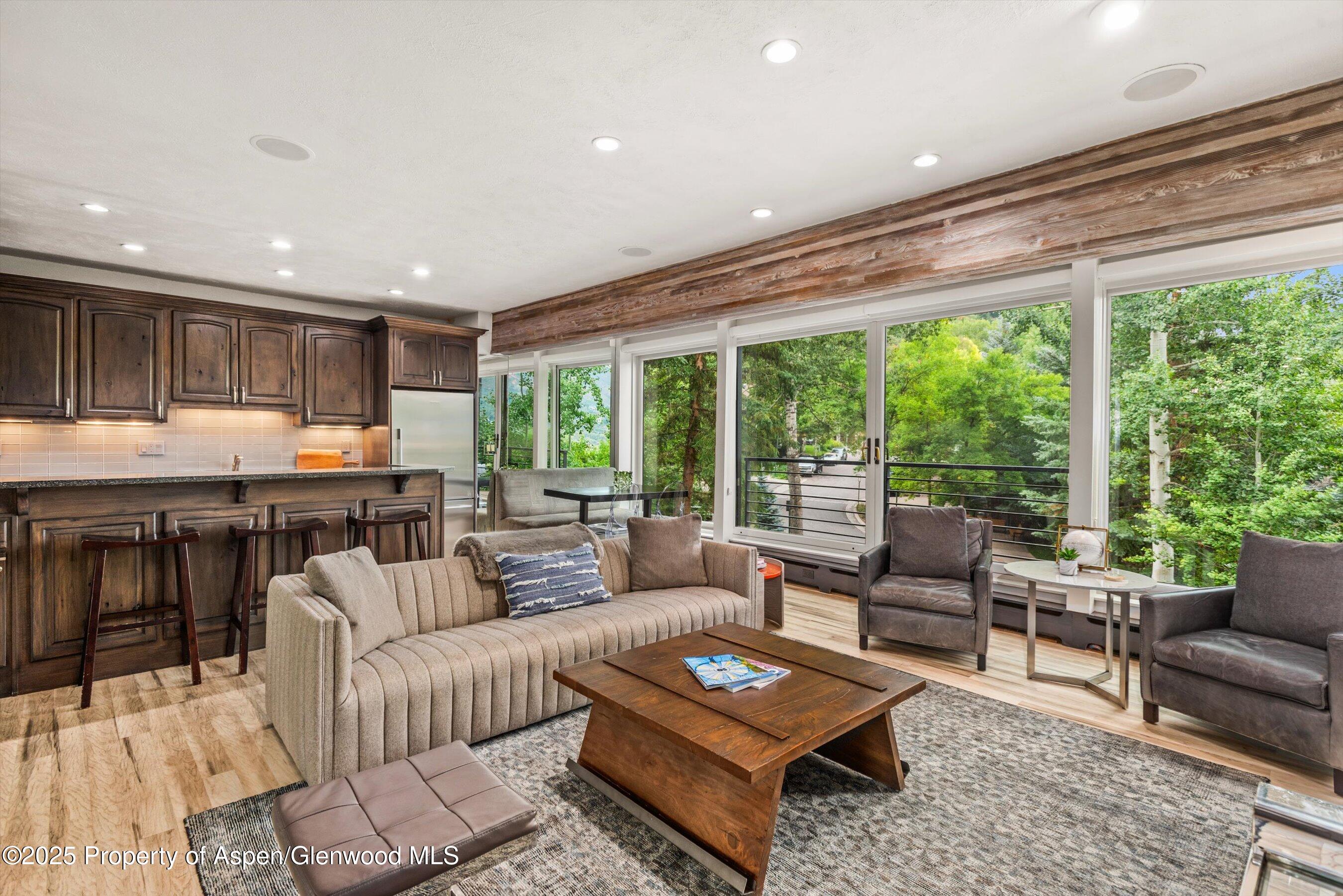 738 S Galena Street Aspen CO 81611