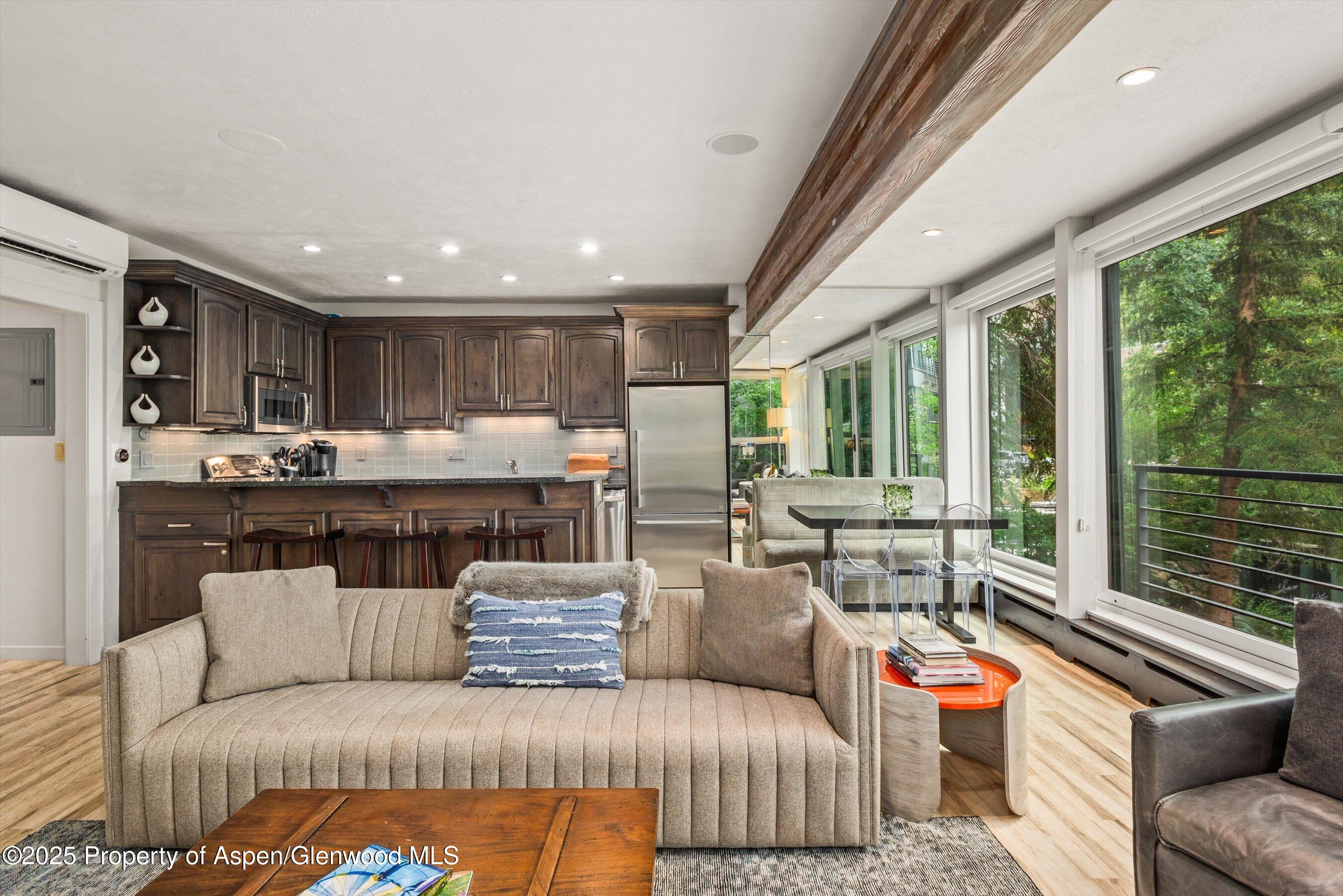 738 S Galena Street Aspen CO 81611